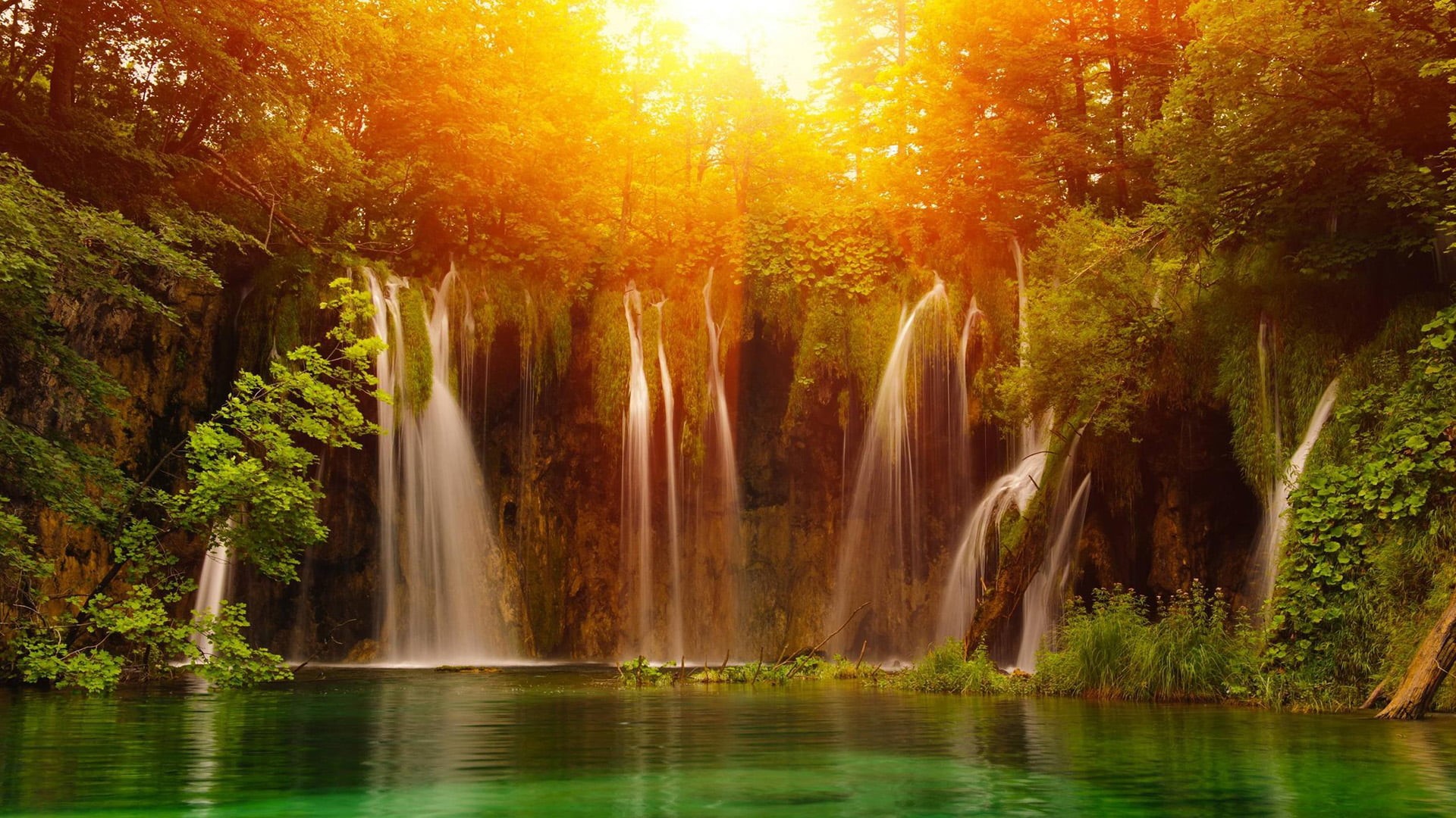 forest, river, no people, scene, leaf, summer, season, autumn, flowing, scenery, outdoor, waterfall, maple, plant, yellow, flower, landscape, HD Wallpaper