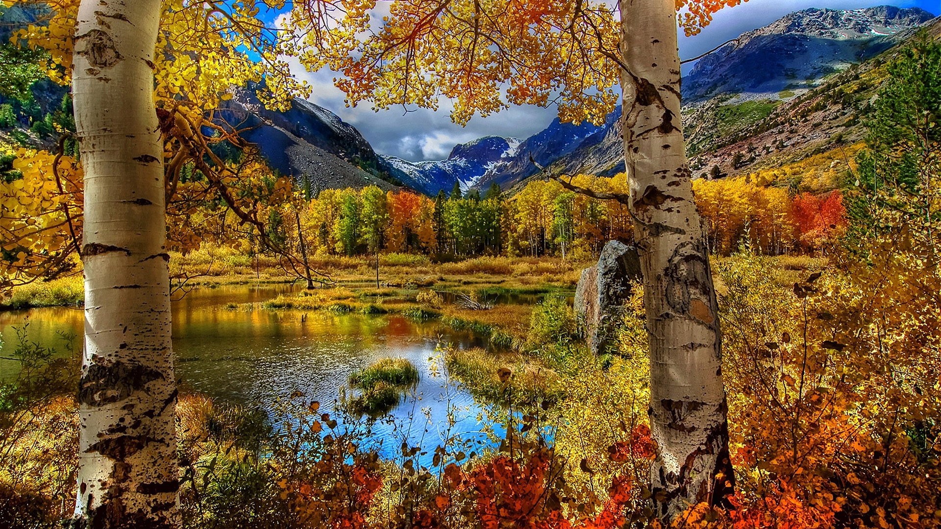 trees, maple, autumn, yellow, change, colorful, sky, beauty in nature, reflection, mountain, mountain range, scenery, canyon, landscape, spring, autumn collection, HD Wallpaper