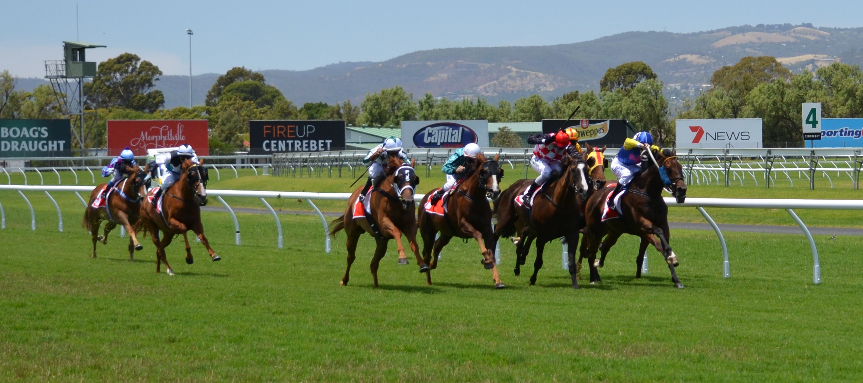 activity, sports Track, track, competition, horse, sport, horseracing Track, livestock, sports Venue, jockey, horses, equestrian Event, group, domestic animals, HD Wallpaper