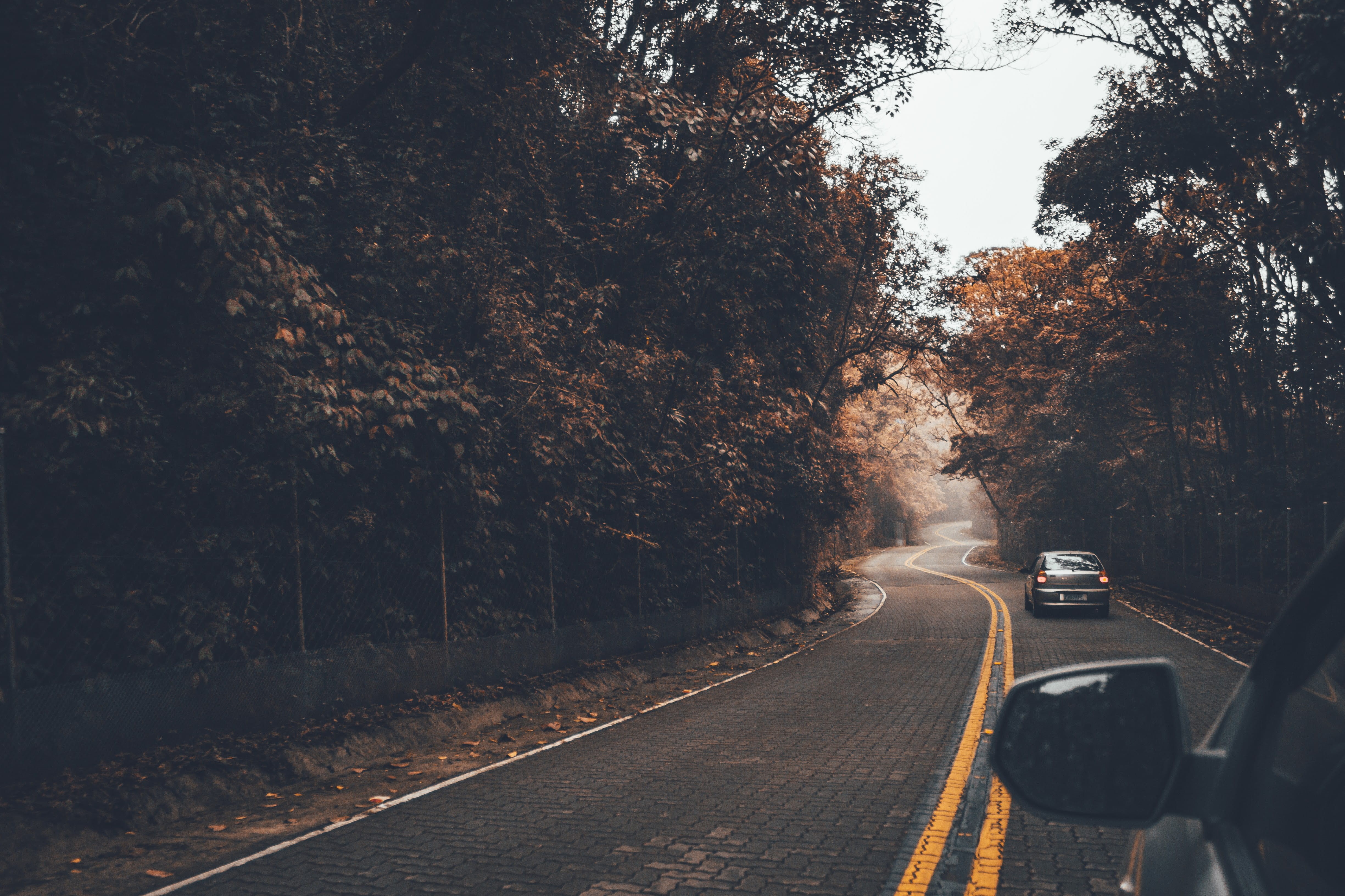 dividing line, 4K, drive, travel, nature, passeio, land vehicle, mode of transportation, diminishing perspective, sign, vehicle, two, forest, marking, HD Wallpaper