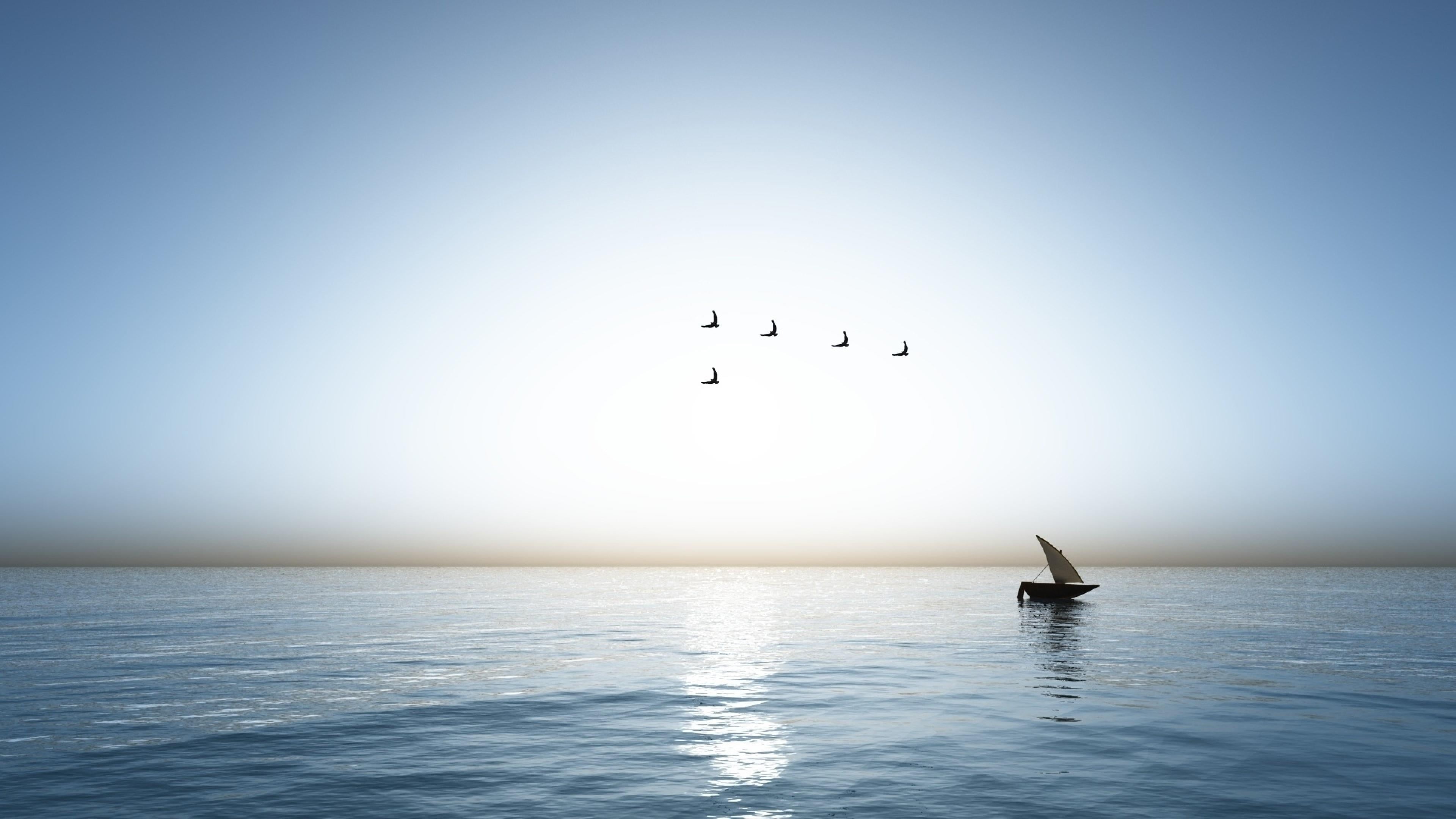 sky, water, tranquility, flock of birds, tranquil scene, horizon, clear sky, bird, morning, ocean, group of animals, wave, shore, beauty in nature, animal wildlife, HD Wallpaper