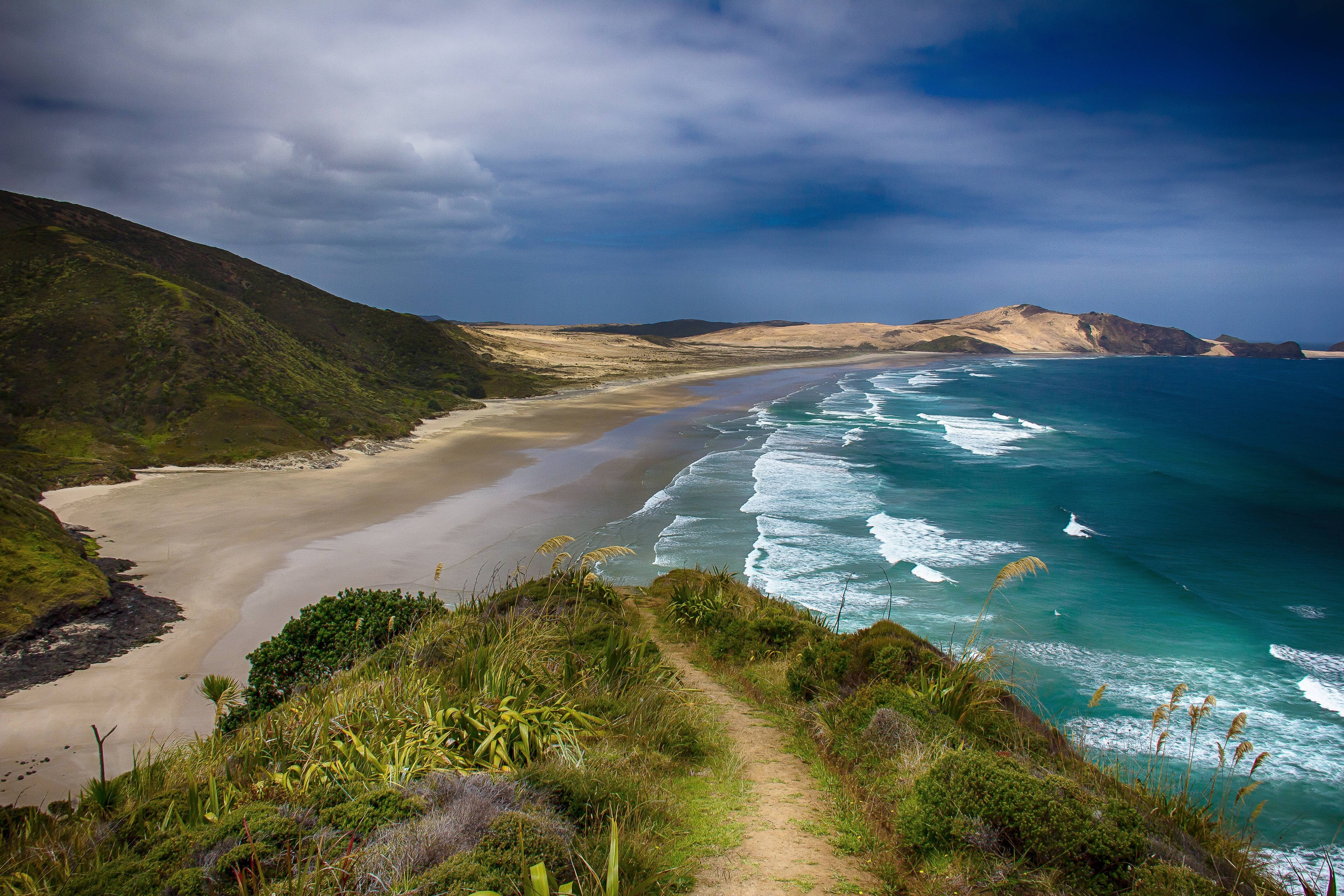 beach, coast, sea, new, bay, 5K, ocean, zealand, HD Wallpaper