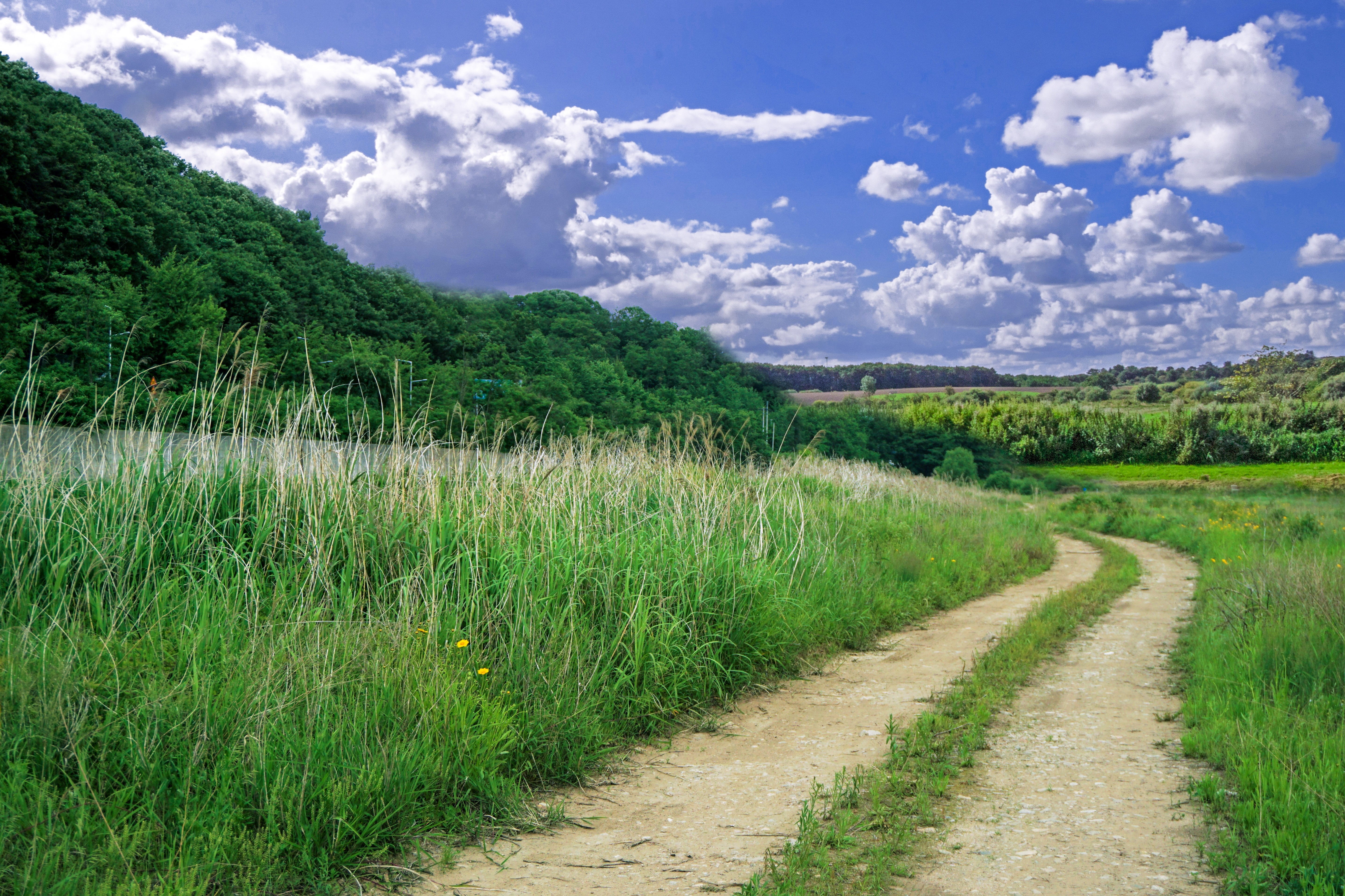 rural scene, road, green color, cloud, trail, plant, direction, field, republic of korea, country road, no people, the way forward, outdoors, beauty in nature, HD Wallpaper