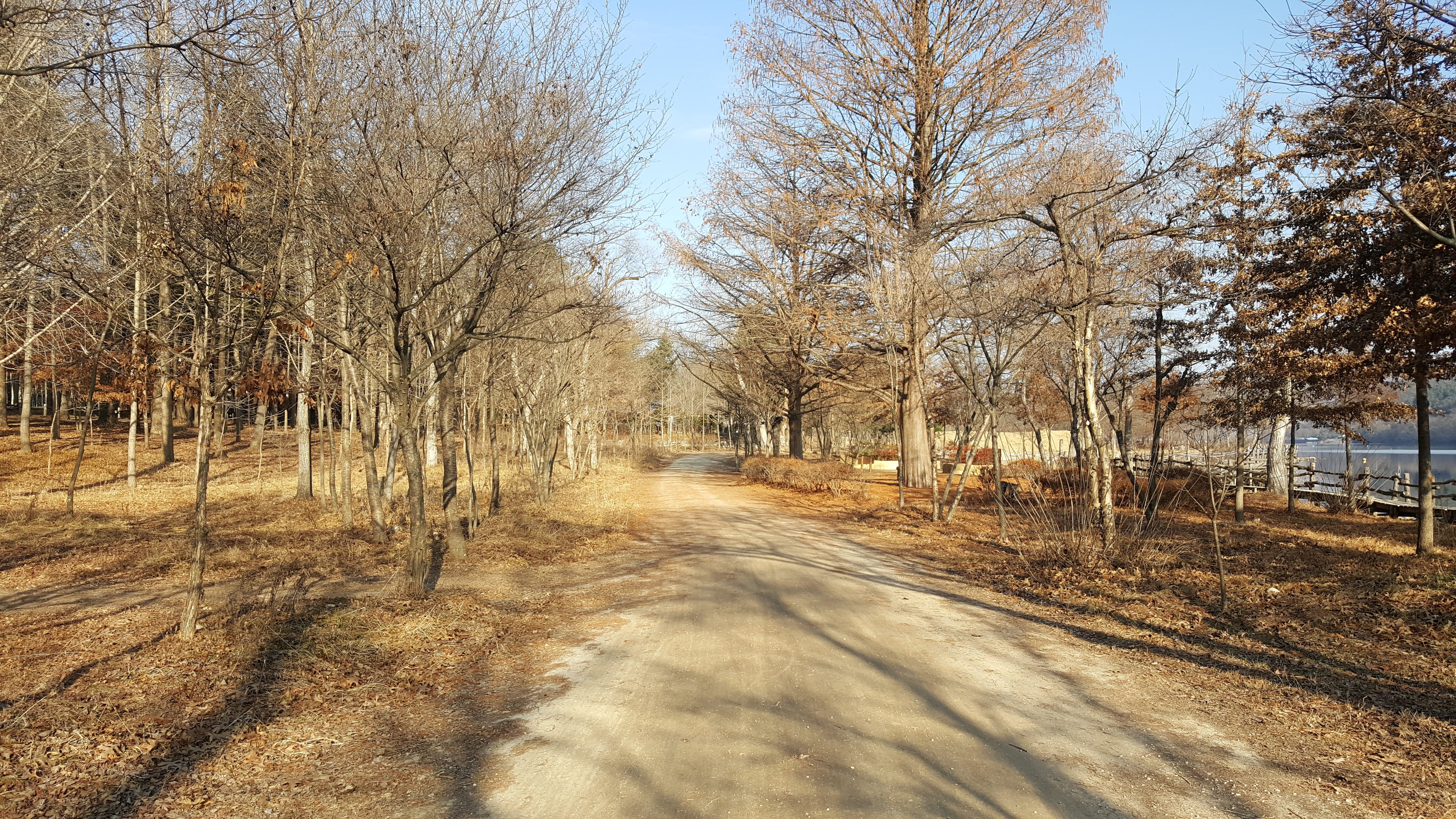 nami island, sky, way, path, trees, road, beauty in nature, building, shadow, field, tranquility, the way forward, tranquil scene, sunlight, direction, HD Wallpaper