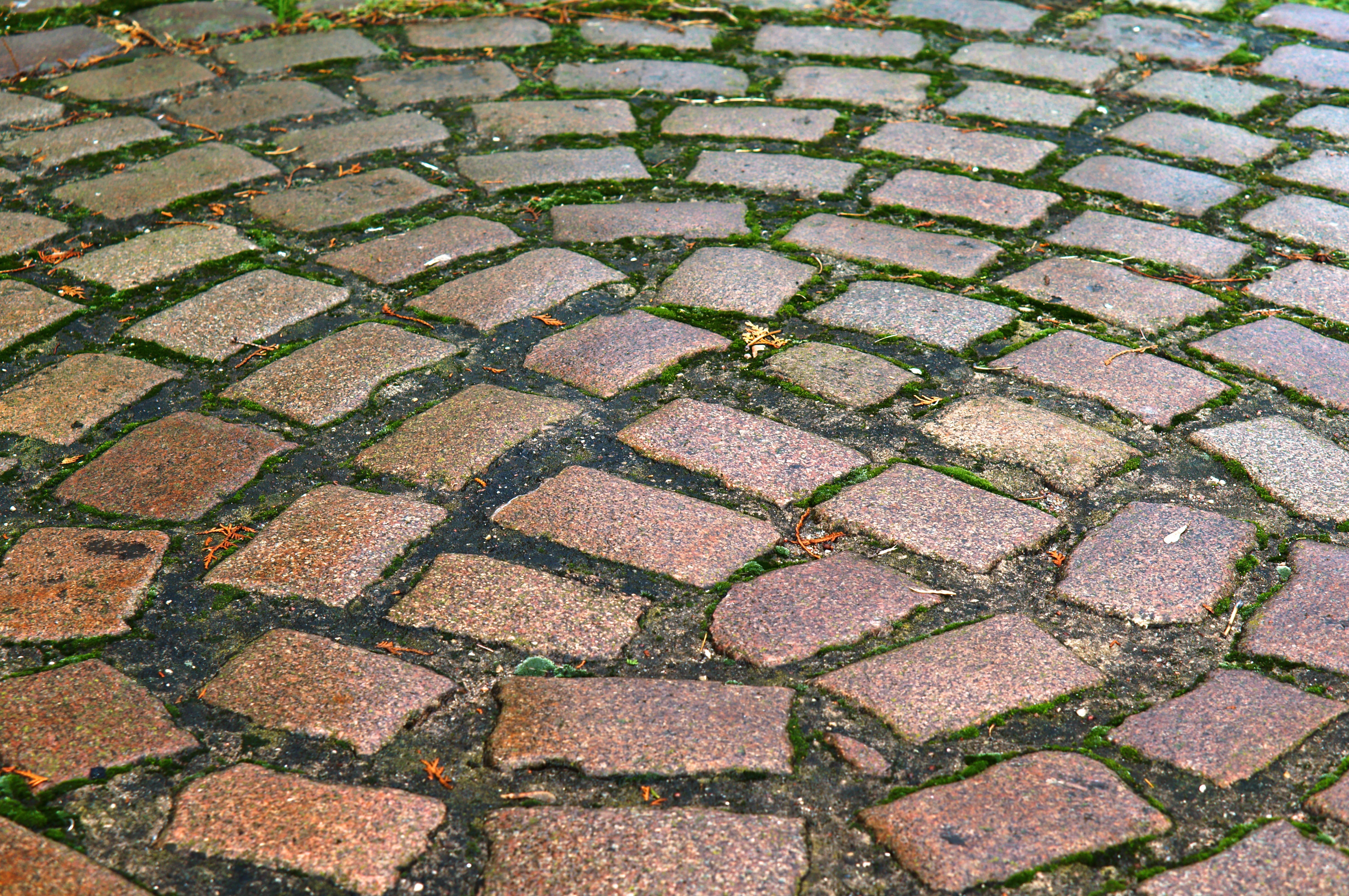 stone, paul, grass, pattern, road, repetition, full frame, architecture, granite, tile, no people, old, vintage, construction, background, high angle view, HD Wallpaper