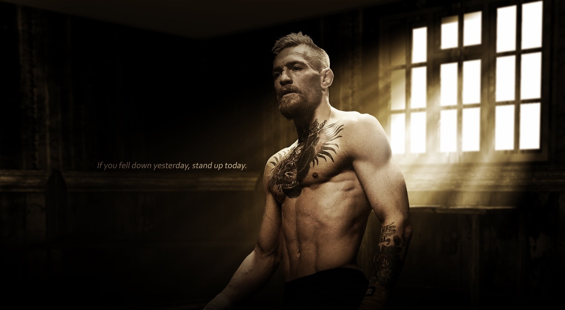 Irish, adult, conor, indoors, standing, connor, men, one person, Fight, conormcgregor, hd, young adult, real people, Ireland, Sport, Other Sports, healthy lifestyle, HD Wallpaper