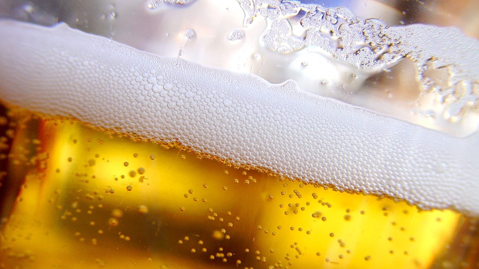 crockery, beer - alcohol, frothy drink, alcohol, lager, still life, no people, freshness, beer glass, water, drink, drinking glass, refreshment, food and drink, HD Wallpaper