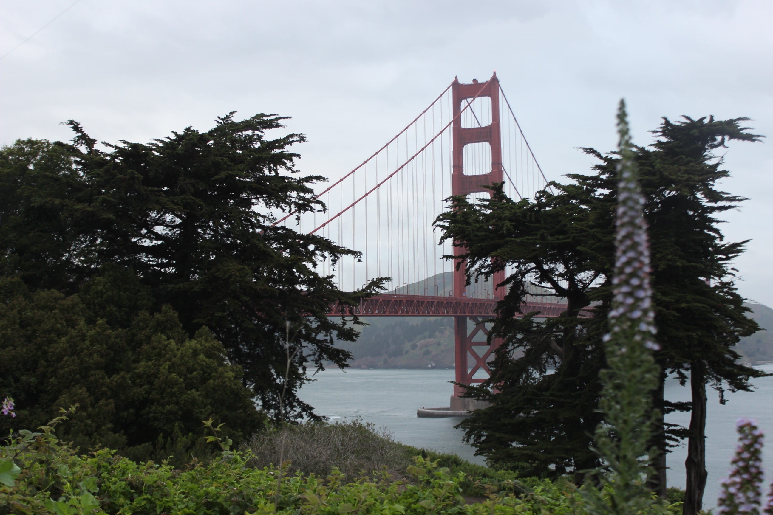 dark, golden gate bridge, best coast, nature, day, engineering, 2K, tree, connection, sky, suspension bridge, usa, north america, purple, cloud - sky, HD Wallpaper