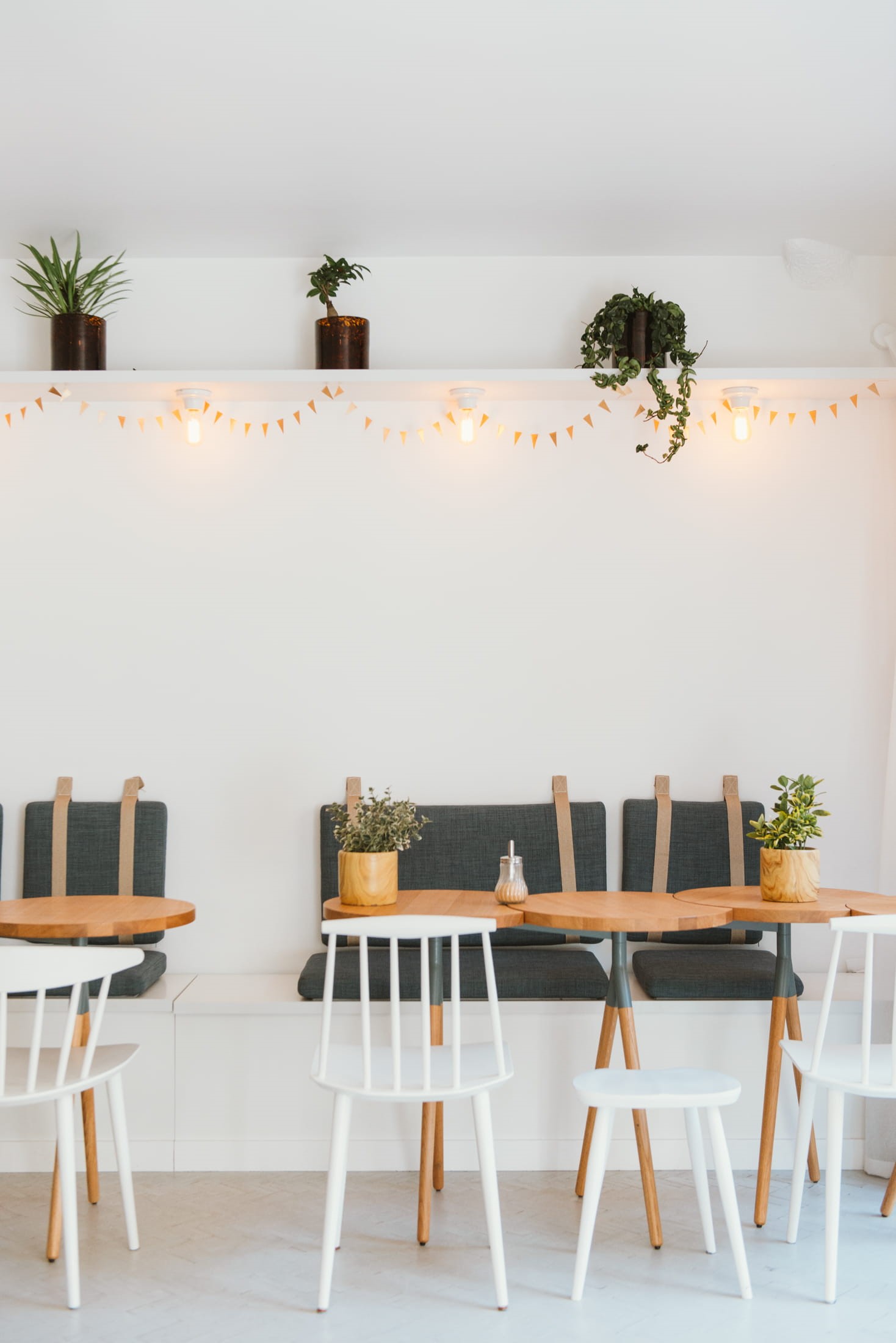 plant, indoors, cafe, color, decor, seat, design, Sweet, lights, assorted, furniture, domestic Room, table, elegance, day, white color, chair, dining Room, Phone HD Wallpaper
