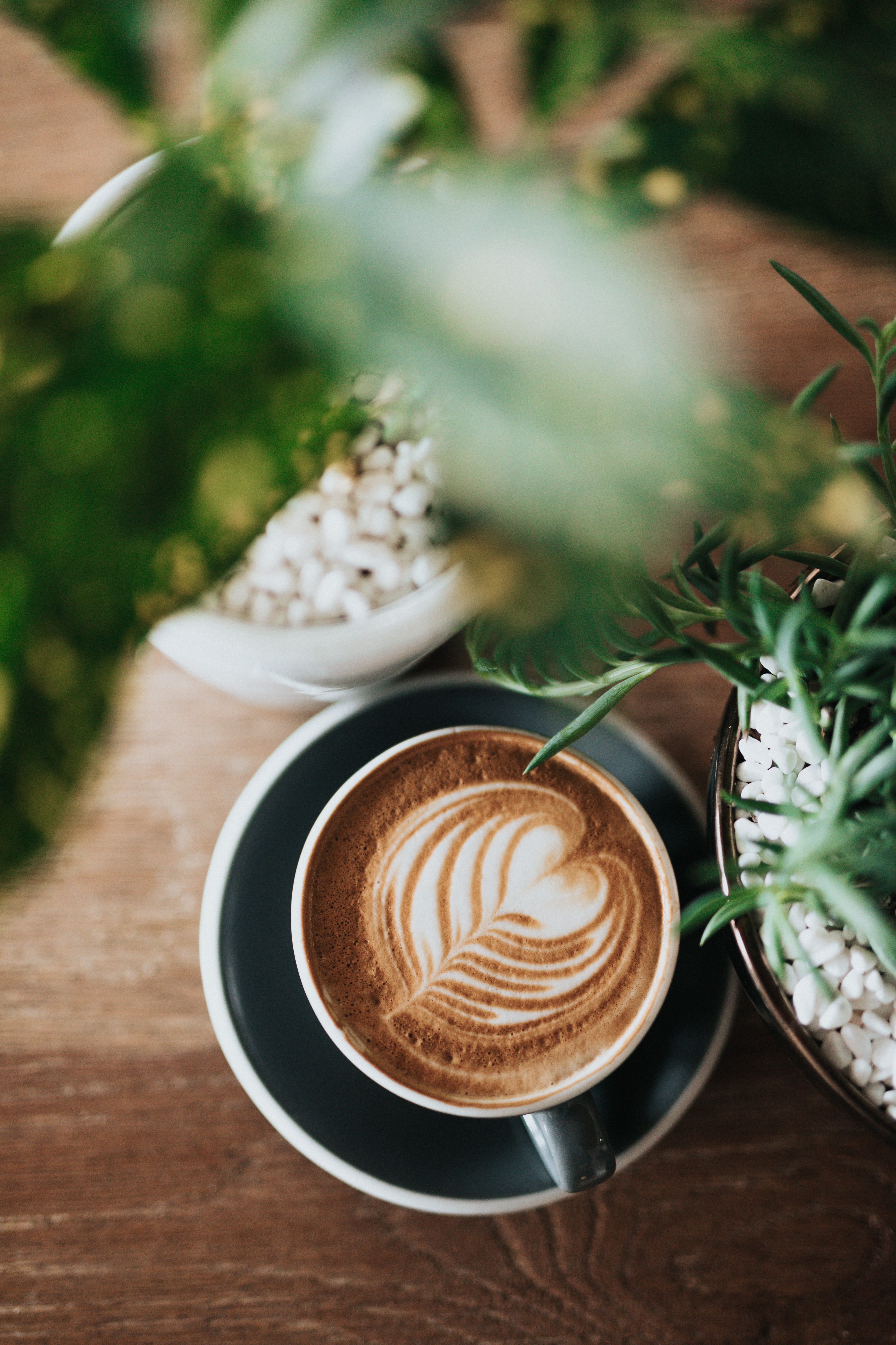 5K, ceramic, food, creativity, saucer, latte, no people, coffee cup, crockery, freshness, frothy drink, still life, cafe, white, table, froth art, refreshment, Phone HD Wallpaper