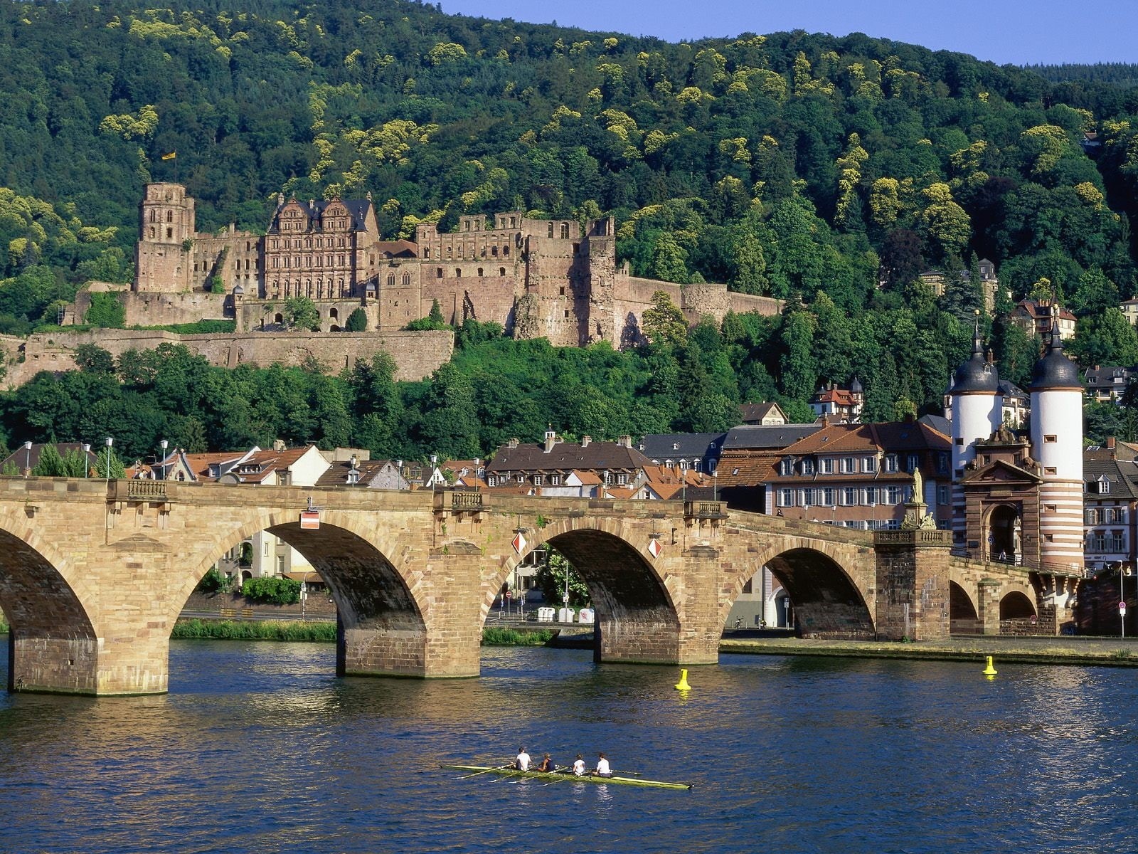 old building, 720P, castle, town, Heidelberg, Germany, cityscape, HD Wallpaper