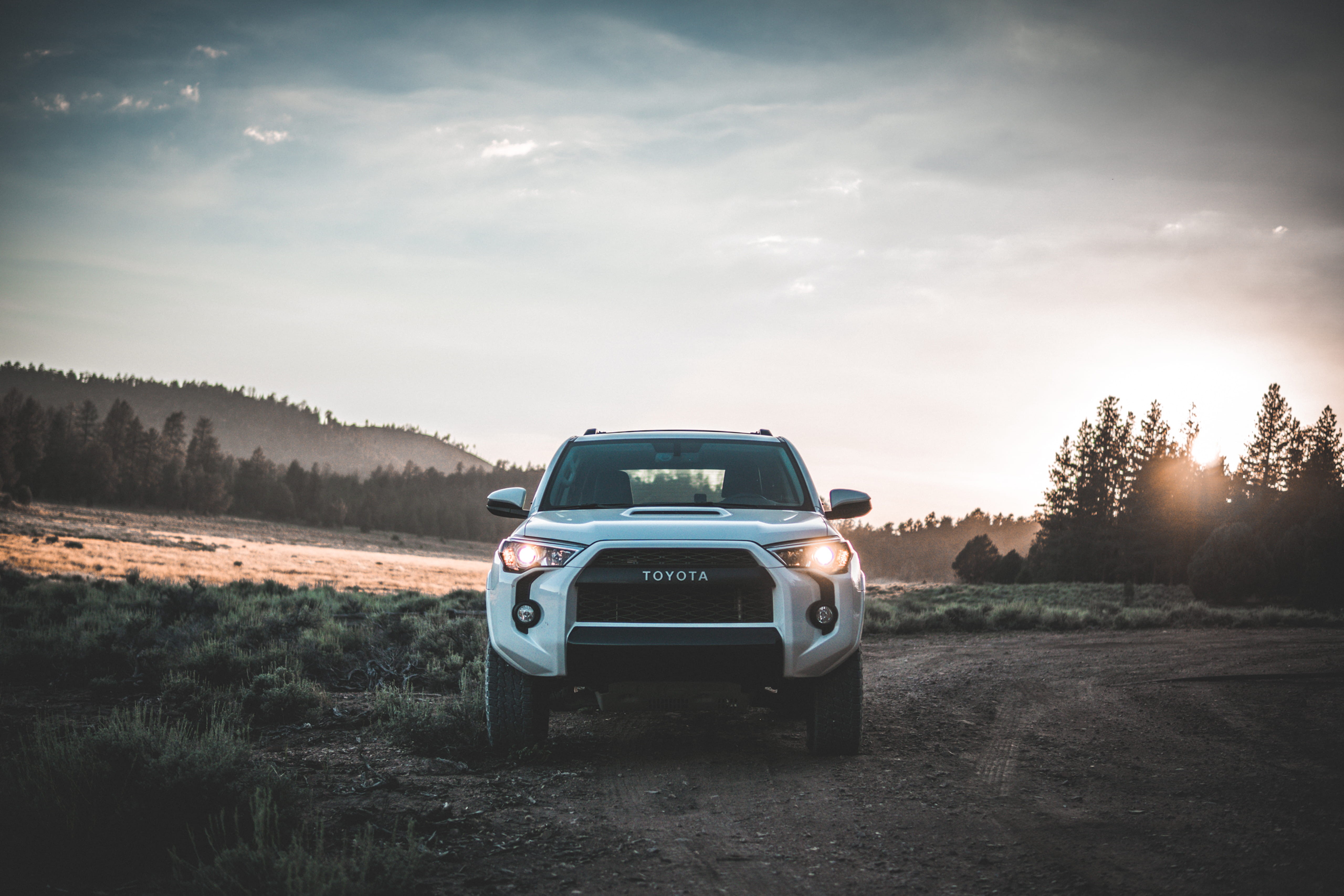 big bear, wheel, vehicle, no people, non-urban scene, offroad, overlanding, trd, day, united states, trail, environment, toyota, adventure, car, beauty in nature, HD Wallpaper