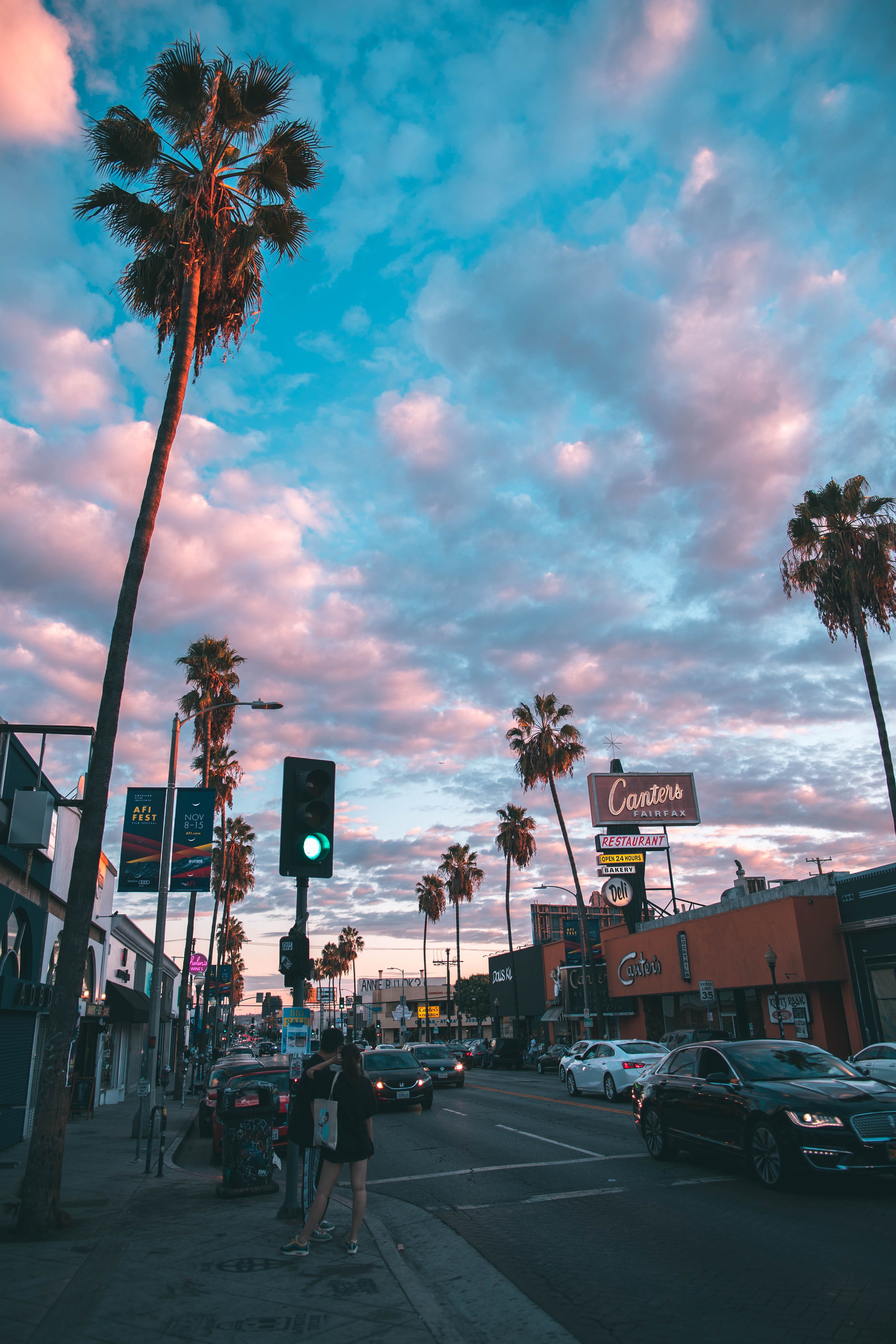 way, palm tree, mode of transportation, land vehicle, city, plant, sports car, outdoors, sunset, buildings, boardwalk, motor vehicle, coconut, vehicle, Phone HD Wallpaper