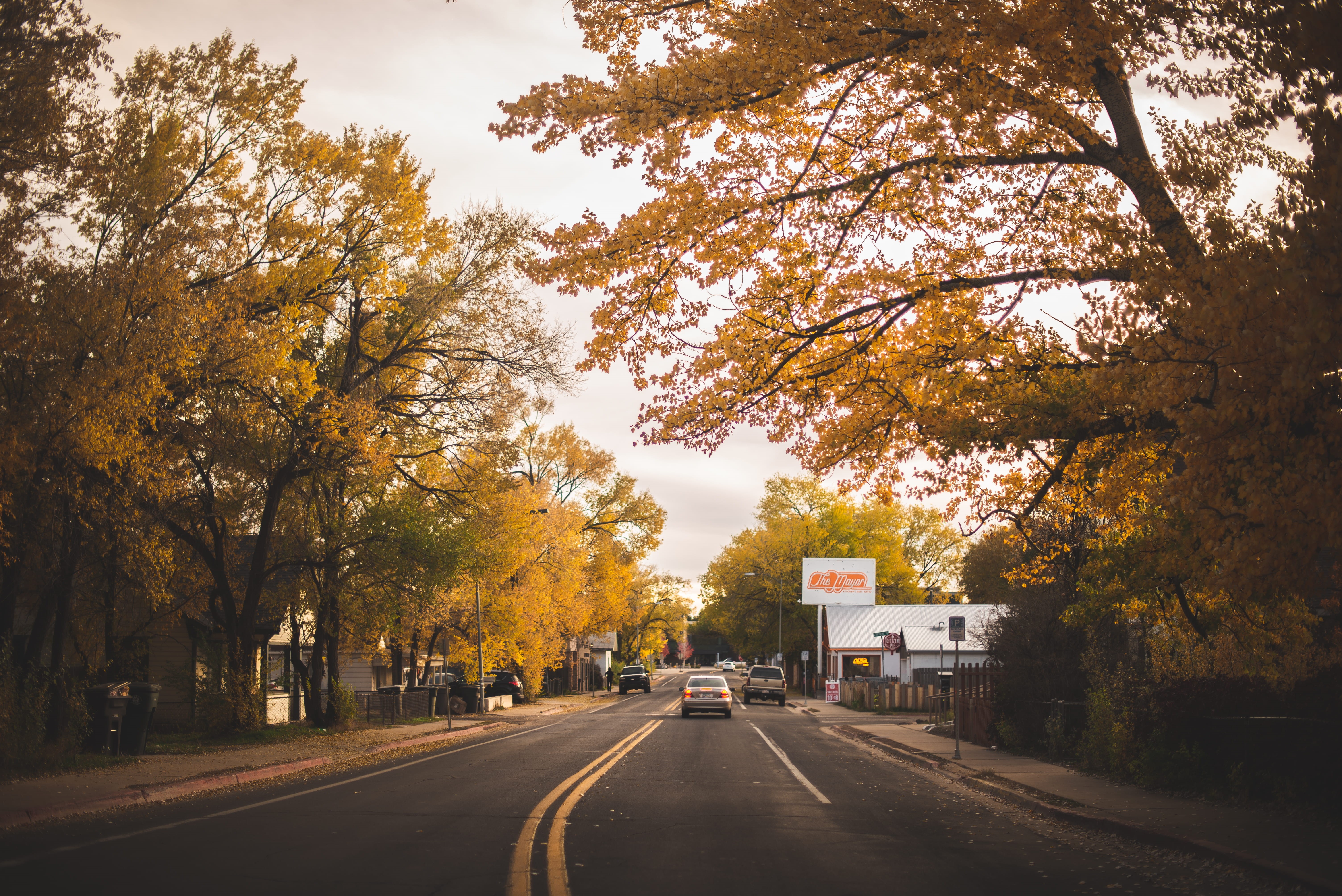 city, urban, day, highway, plant, 5K, direction, clouds, treelined, car, land vehicle, growth, white, way, no people, flagstaff, apparel, transportation, HD Wallpaper