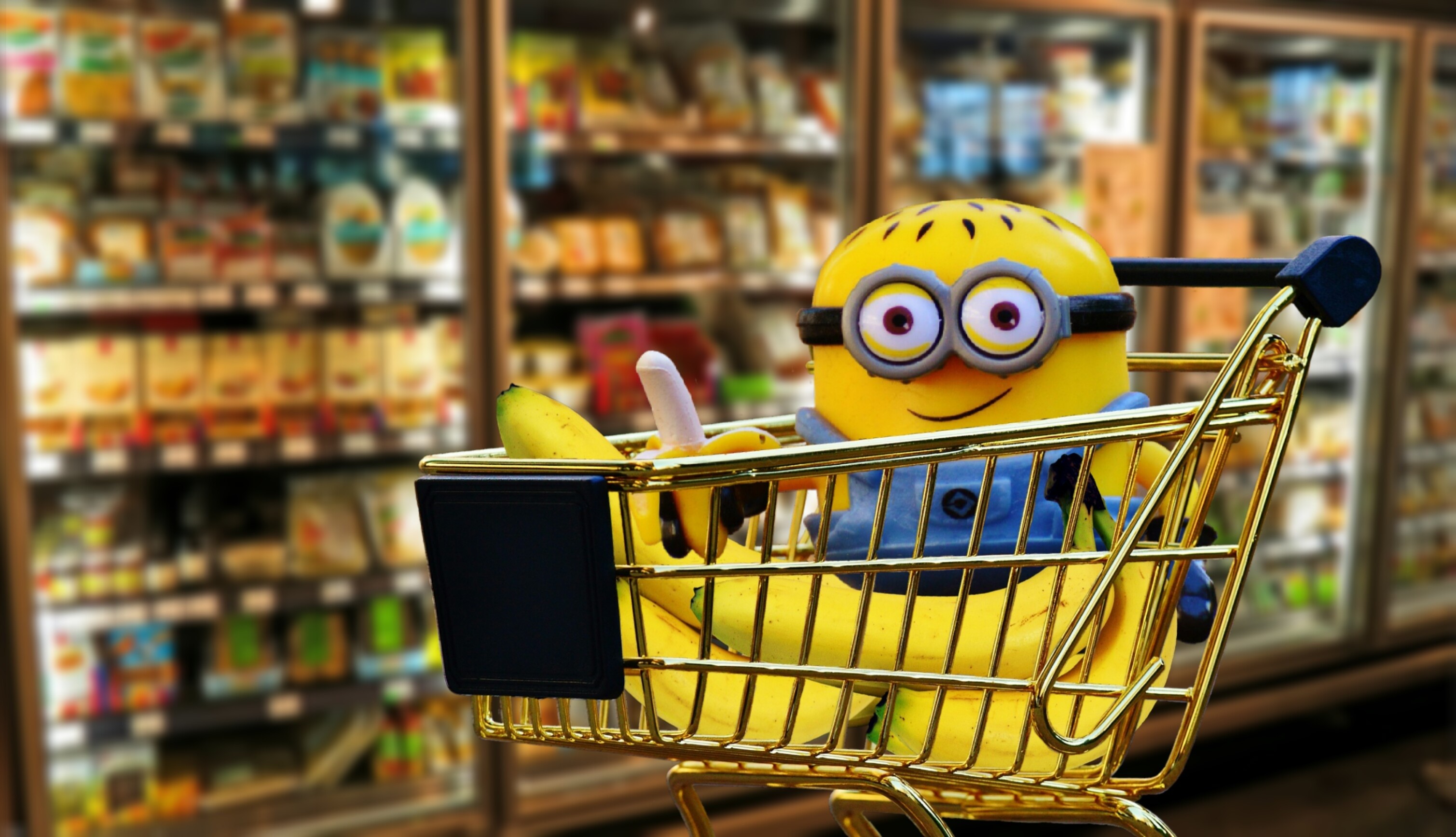 no people, minion, eat, choice, cart, nutrition, groceries, multi colored, store, gold, bless you, food and drink, shopping Cart, animal representation, HD Wallpaper