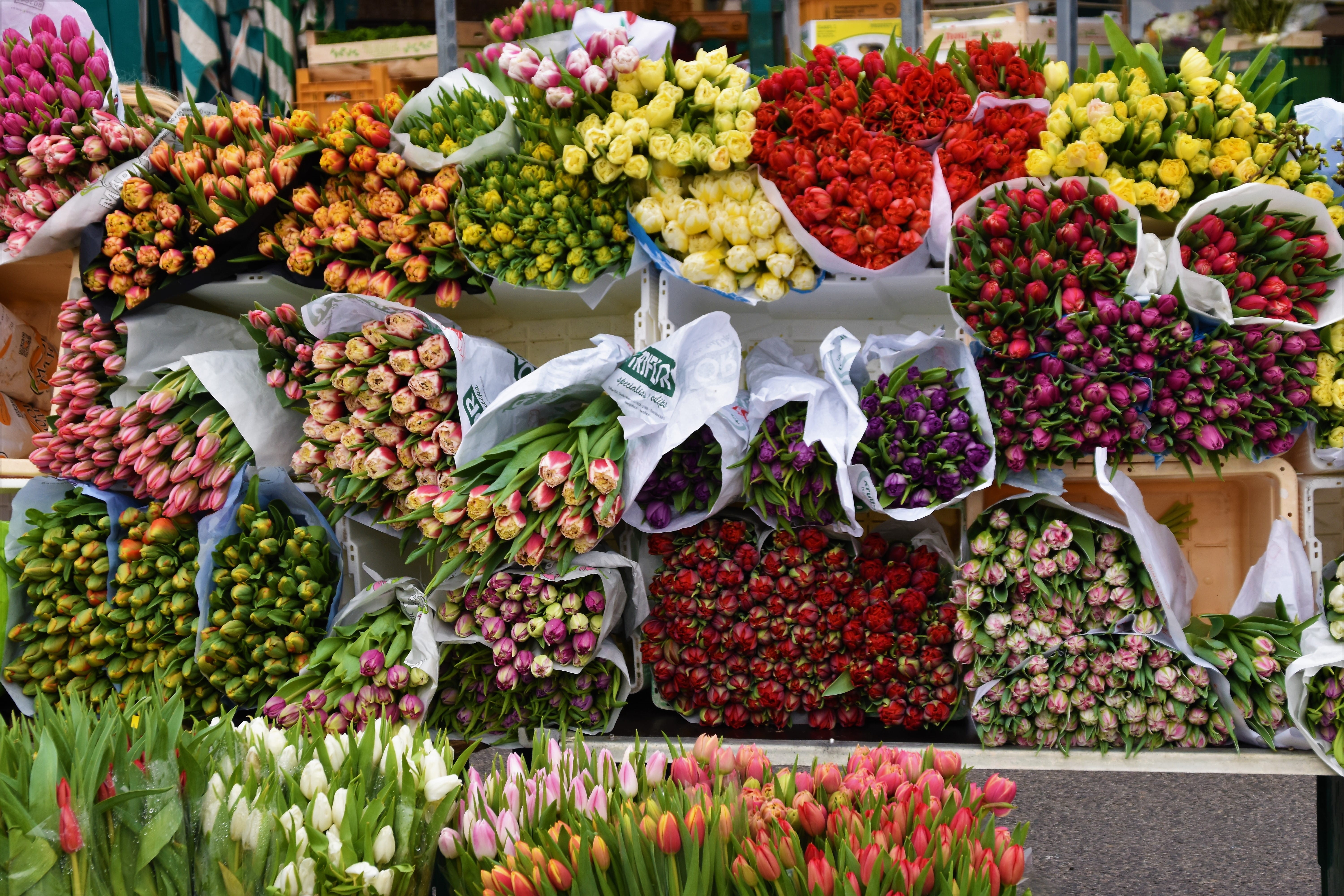 colorful, flower market, flower, assorted, bouquet, food, large group of objects, fresh, wellbeing, store, street, daylight, garden, 5K, marketplace, market stall, HD Wallpaper
