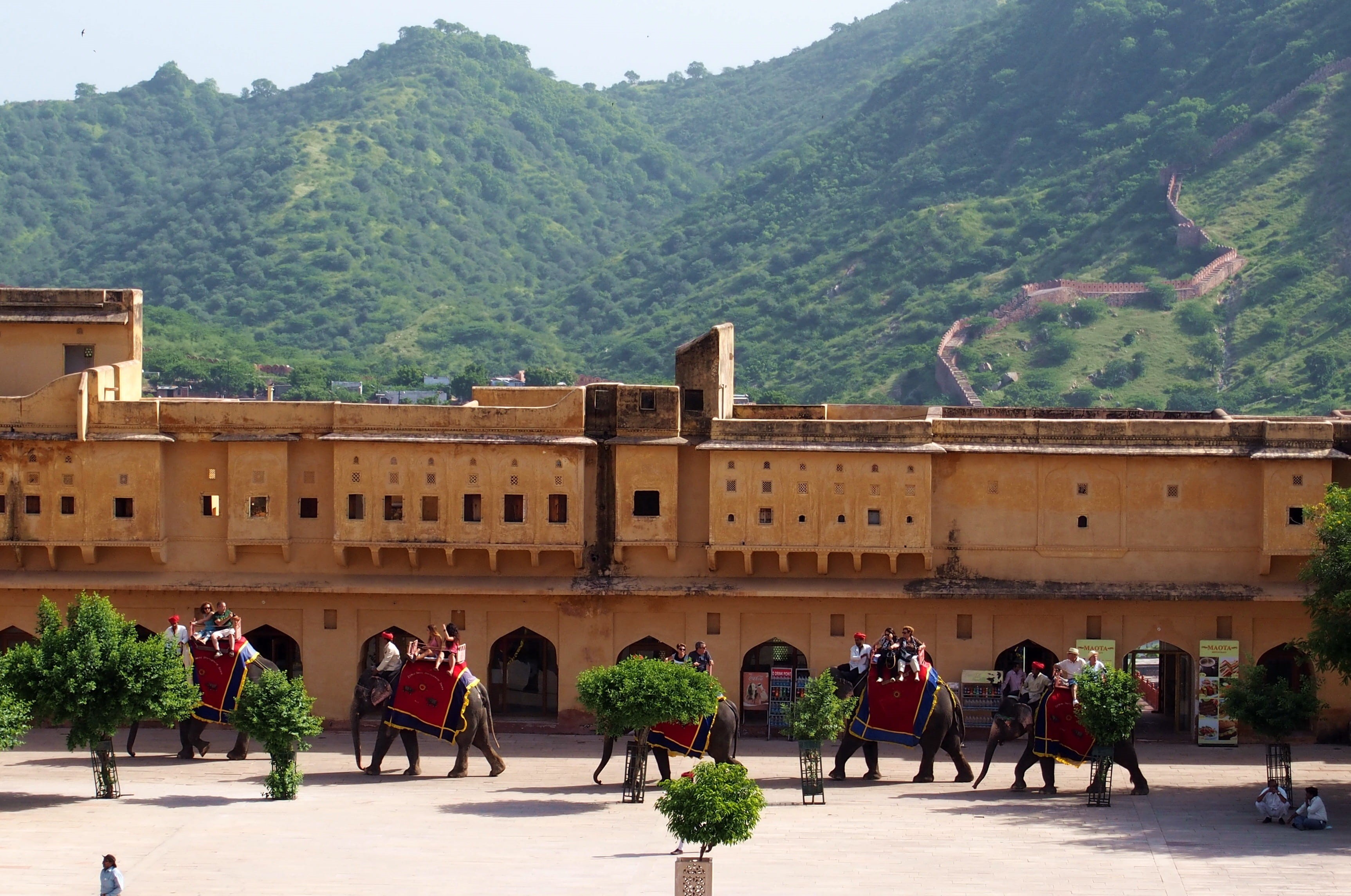 green color, fort, plant, horse, domestic animals, nature, group of people, mountain, fortress, people, tree, mammal, livestock, building exterior, india, HD Wallpaper