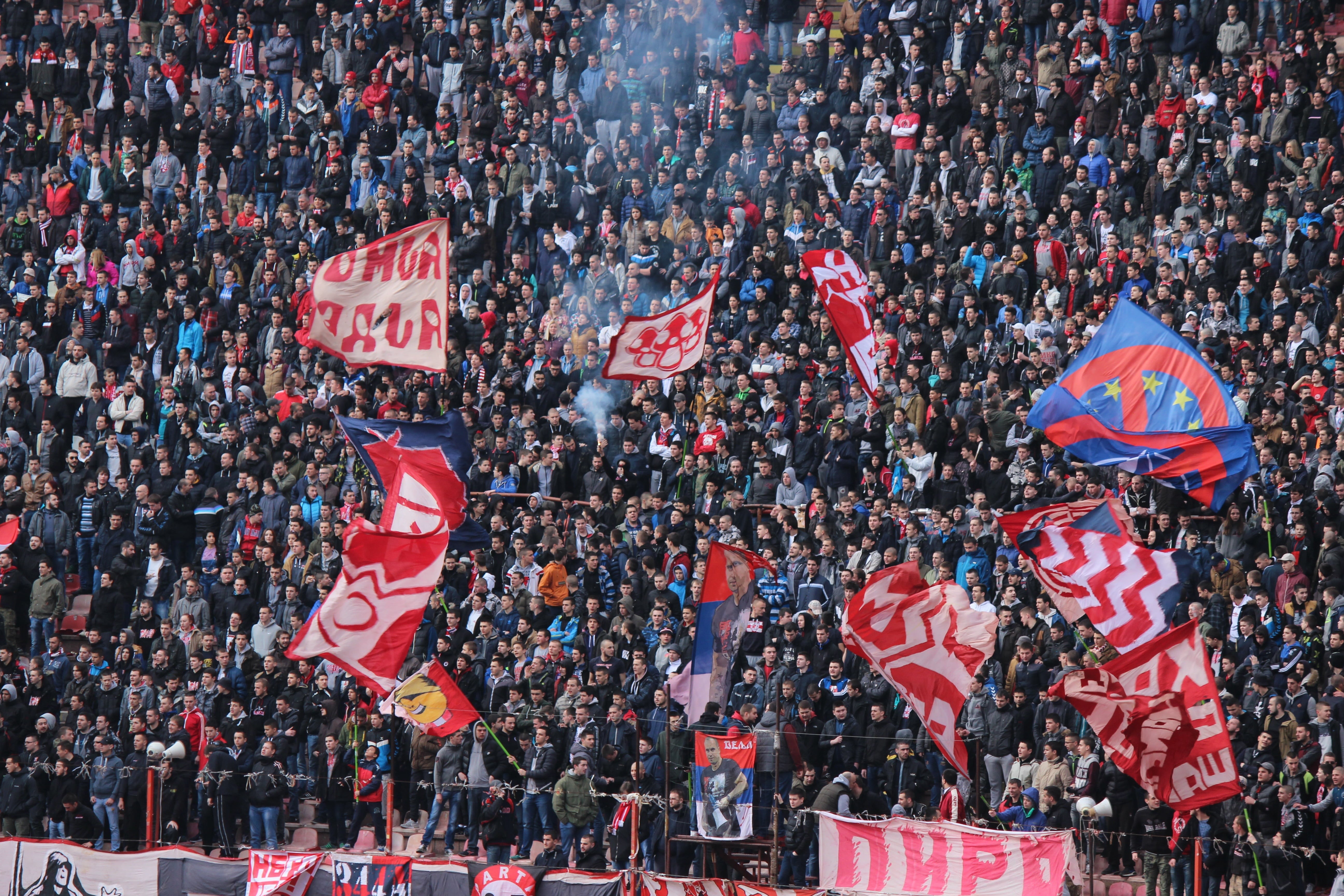 large group of people, group of people, photo, star, professional, team sport, marakana, pride, patriotic, flag, spectator, red, red star, ultras, excitement, HD Wallpaper