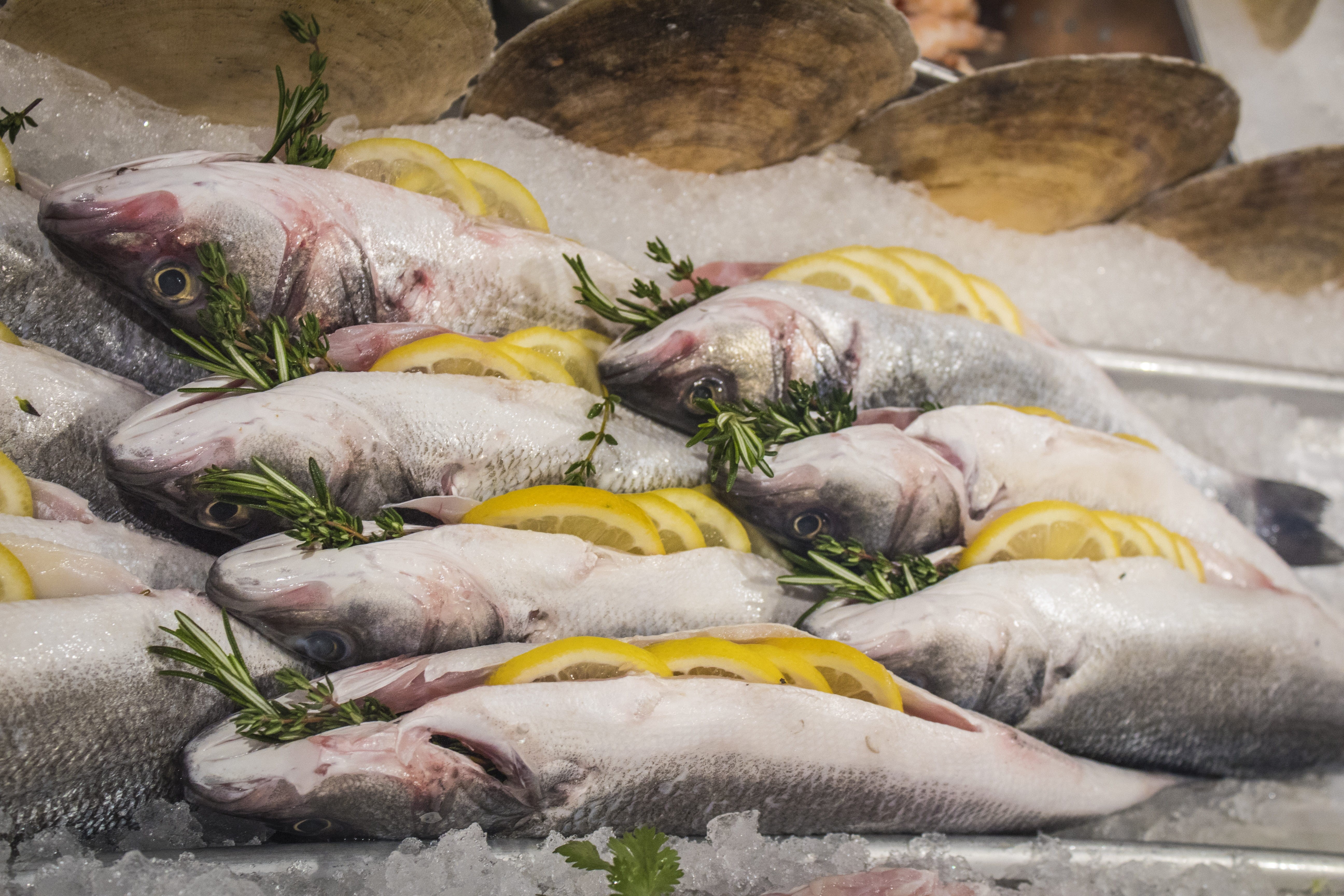 asian, japanese, market stall, market, lunch, retail display, vertebrate, wellbeing, salmon, delicious, food, sashimi, dinner, cold temperature, no people, HD Wallpaper