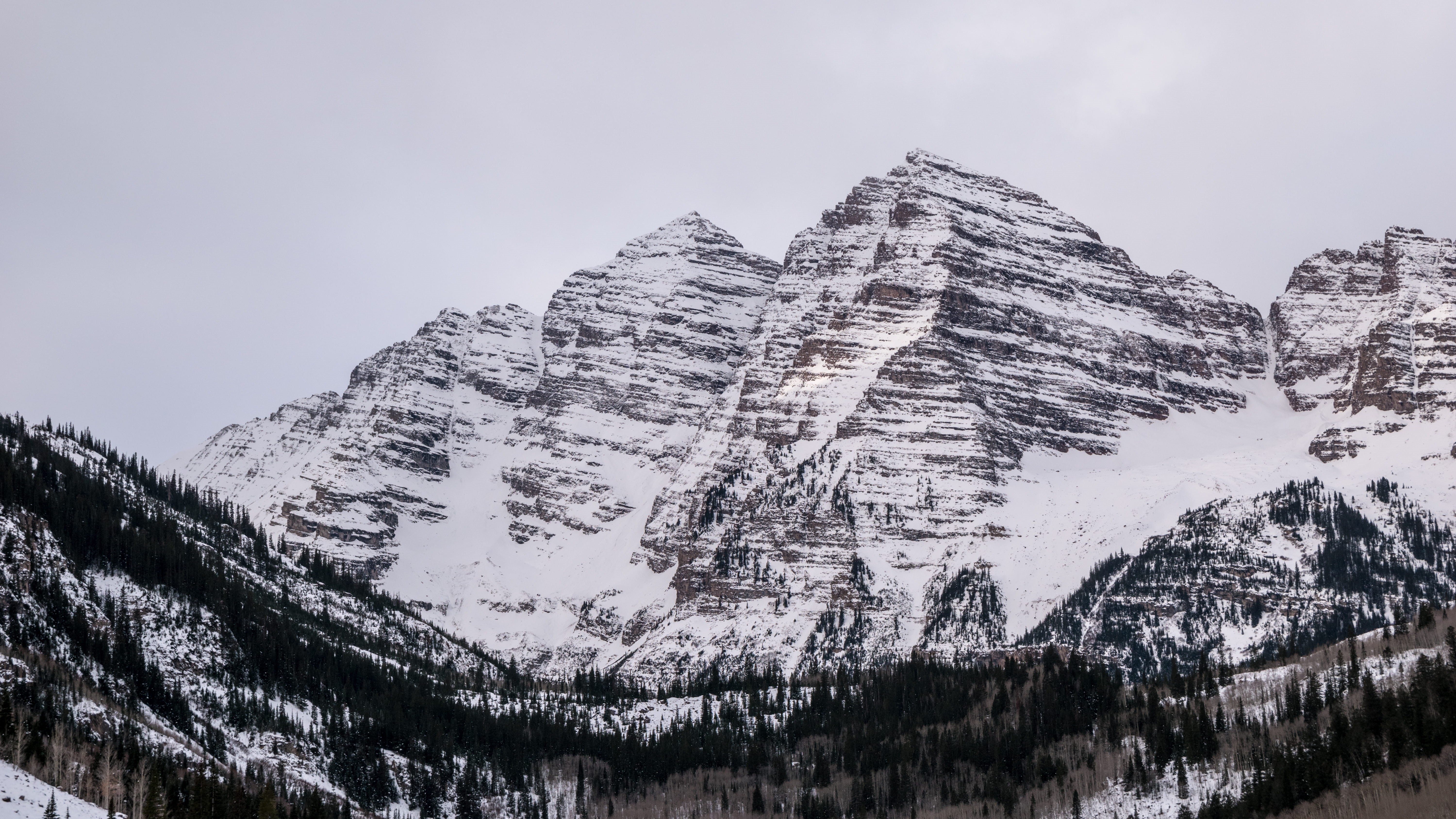 pine tree, beauty in nature, mountain, explore more, snow, tree, maroon bells, abies, sunrise, outdoors, covered, ice, aspen, mountain peak, day, no people, HD Wallpaper