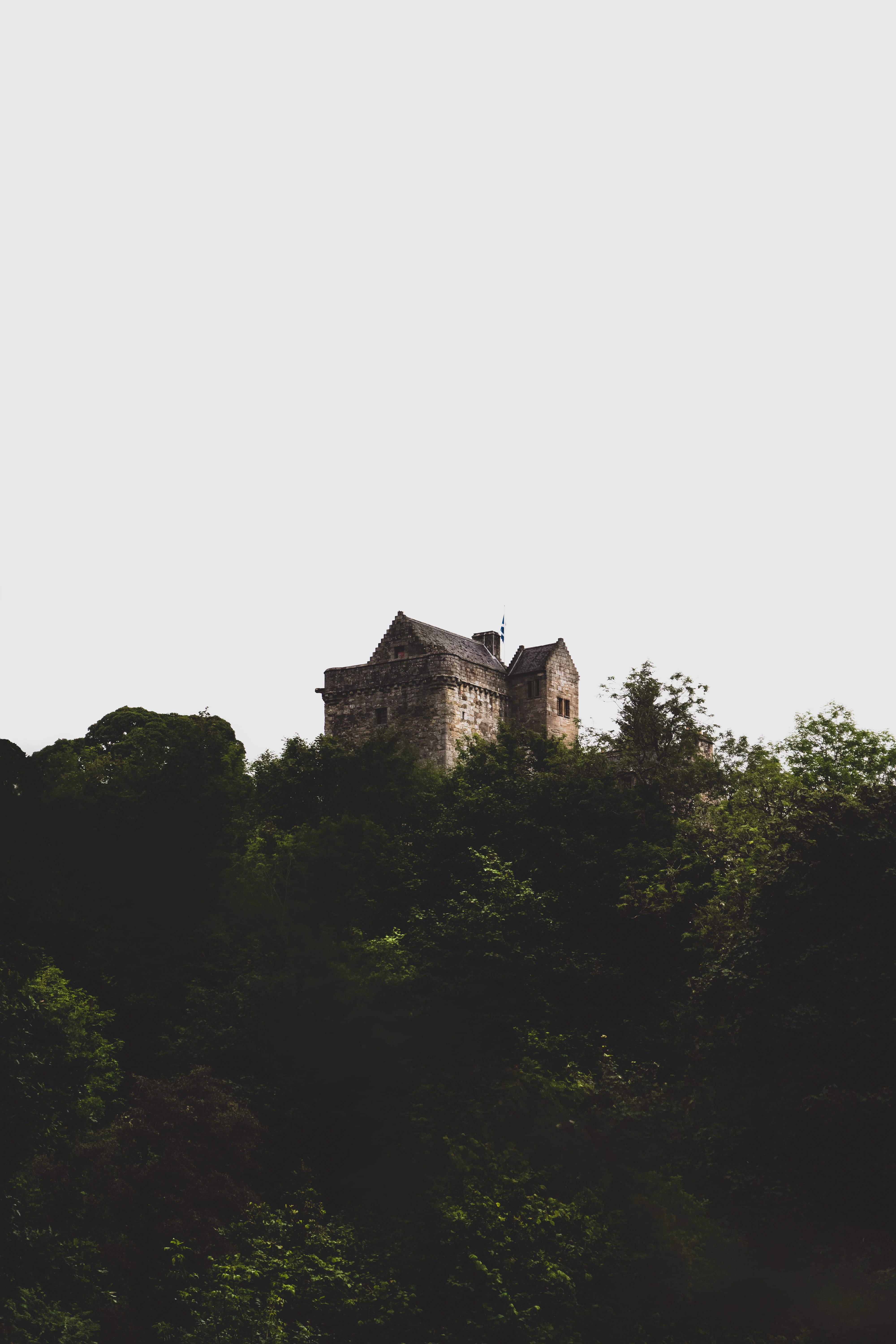 trees, day, clear sky, 5K, building exterior, built structure, history, nature, green, no people, explore scotland, growth, scotland, castles of scotland, Phone HD Wallpaper