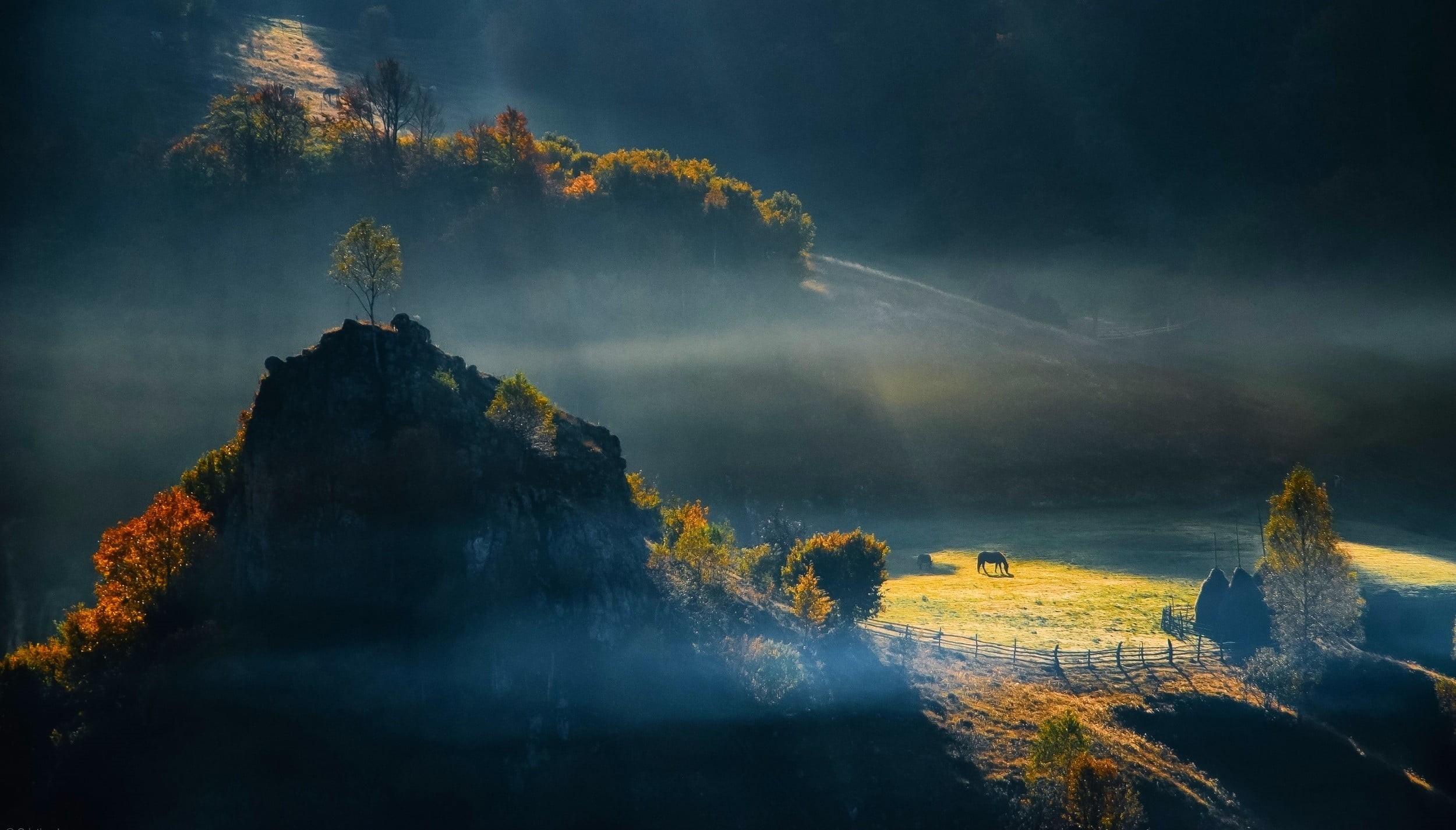 outdoors, morning, landscape, fog, power in nature, painting, change, autumn, non-urban scene, beauty in nature, tranquil scene, land, water, trees, plant, HD Wallpaper
