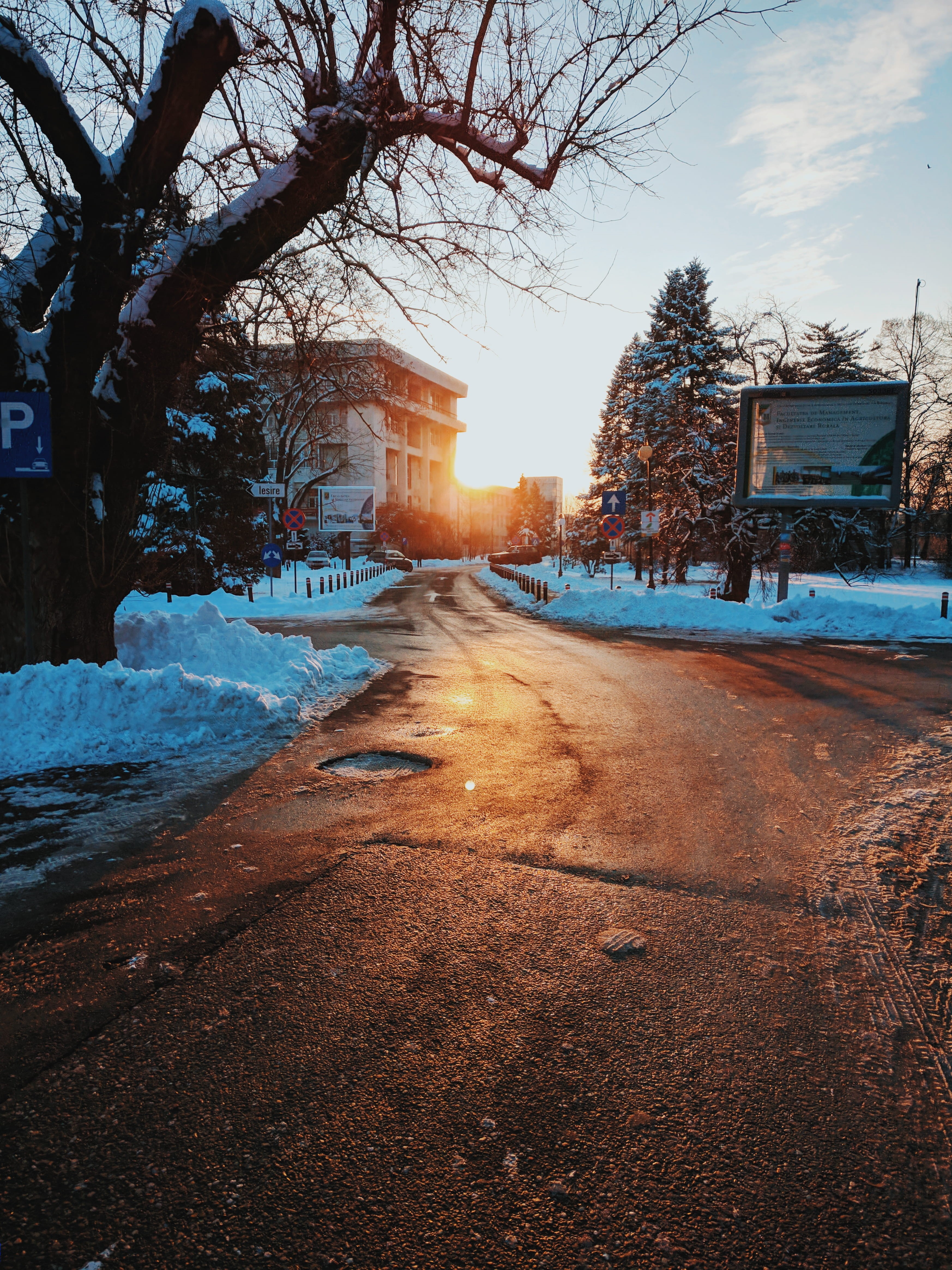 plant, #vsco, building, #nature, cold temperature, built structure, bare tree, transportation, snow, #oneplus, agronomie, #Bucharest, architecture, outdoors, Phone HD Wallpaper