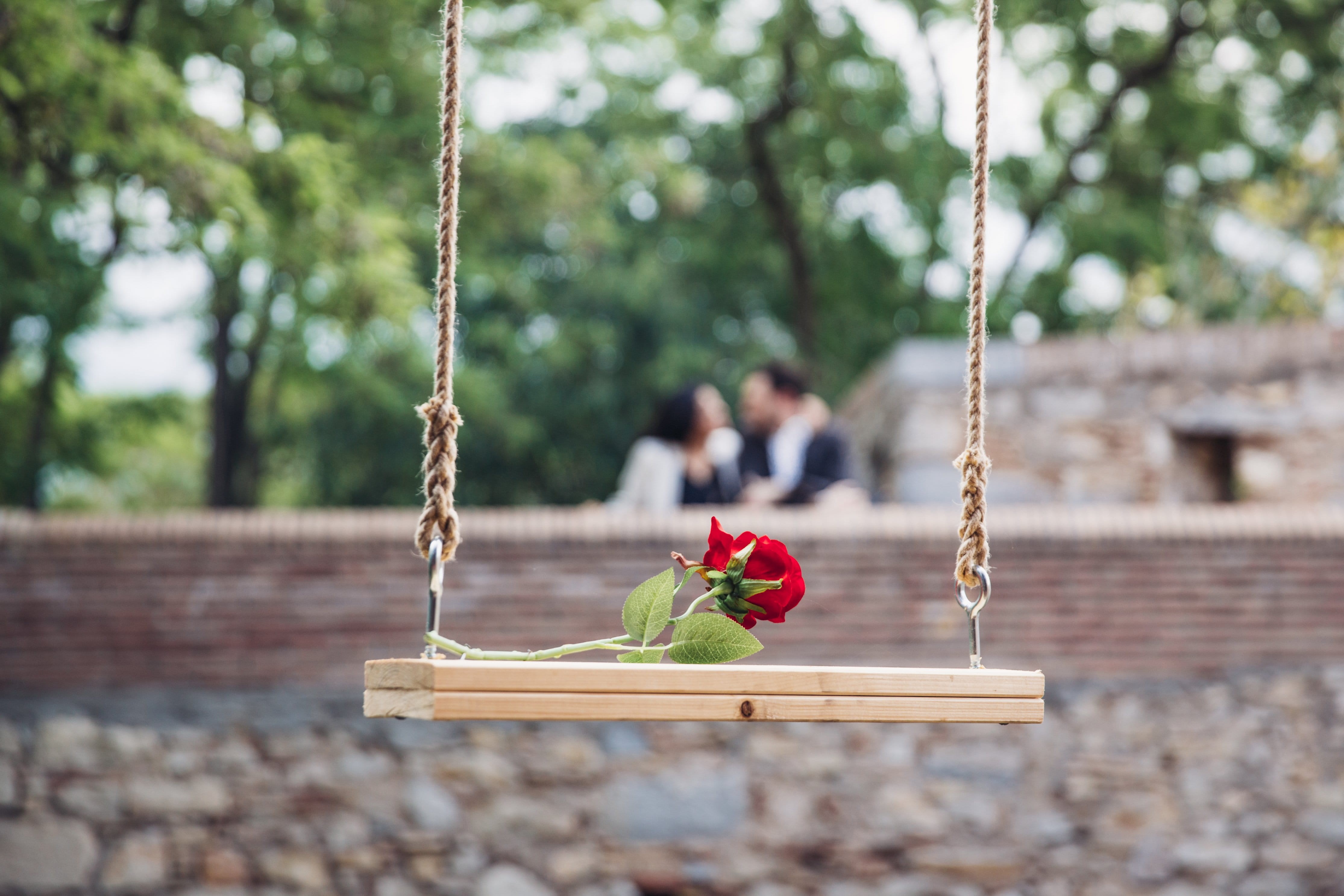 holding, photo, men, women, focus on foreground, romance, sitting, Valentines Day, outdoors, nature, offspring, child, plant, rope, Couple, two people, HD Wallpaper