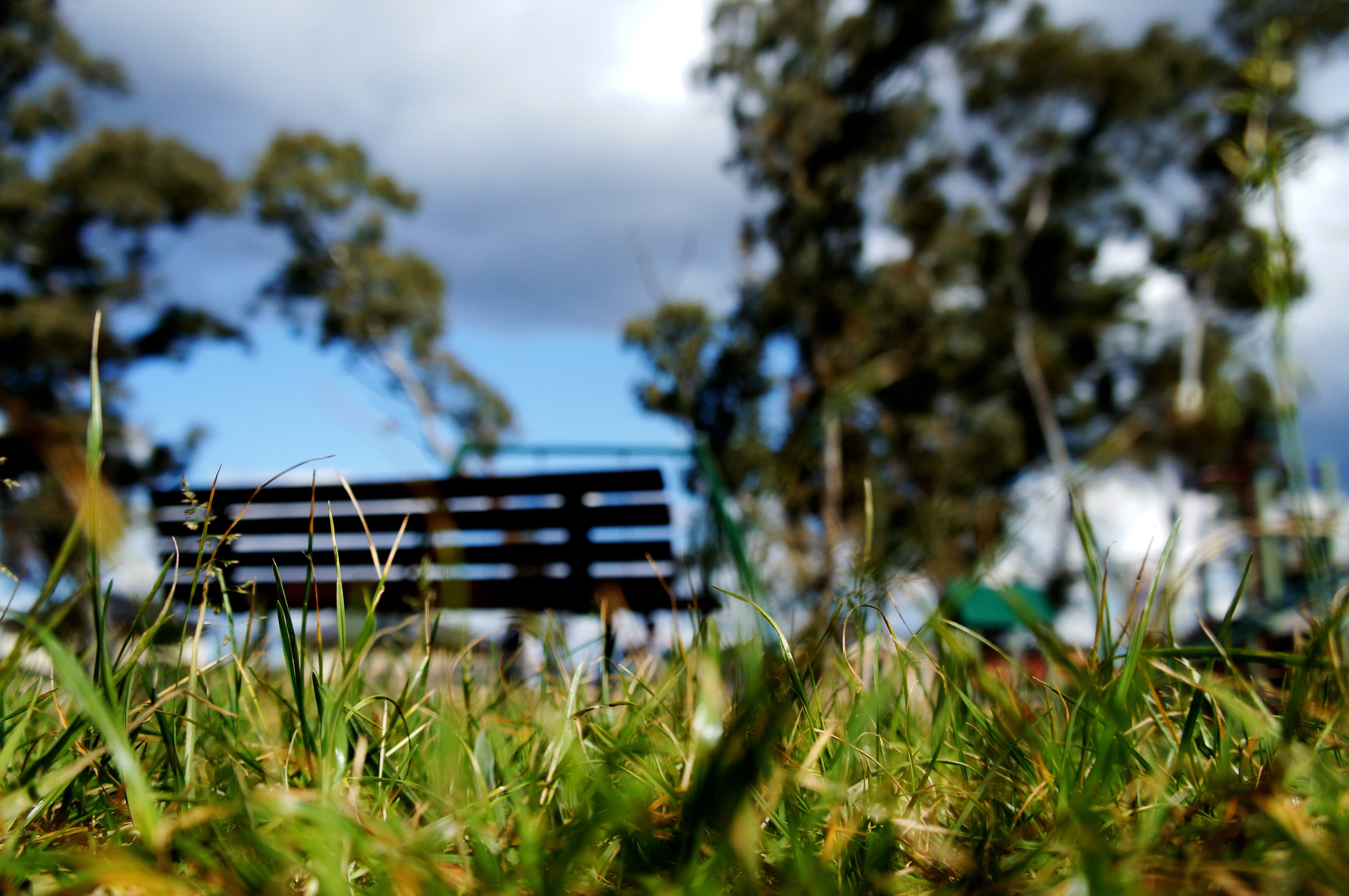 photo, 4K, Playground, distance, green grass, close up, outdoors, grass, green, bench, nature, wood - Material, close, HD Wallpaper
