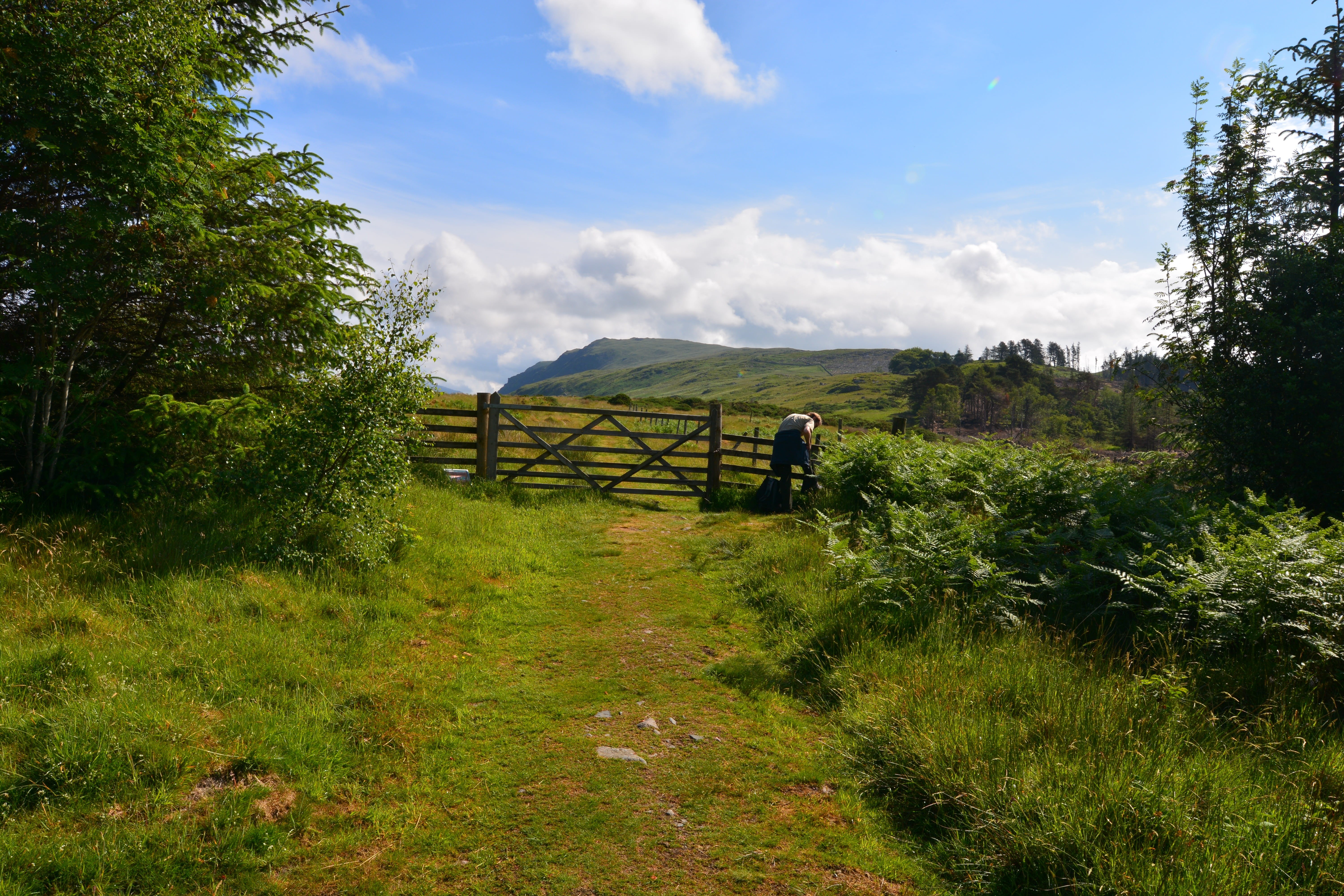 england, 5K, wast, mountain, the way forward, hiking, tree, green, wander, sunny, walking, day, growth, great, water, wanderlust, land, holiday, field, HD Wallpaper