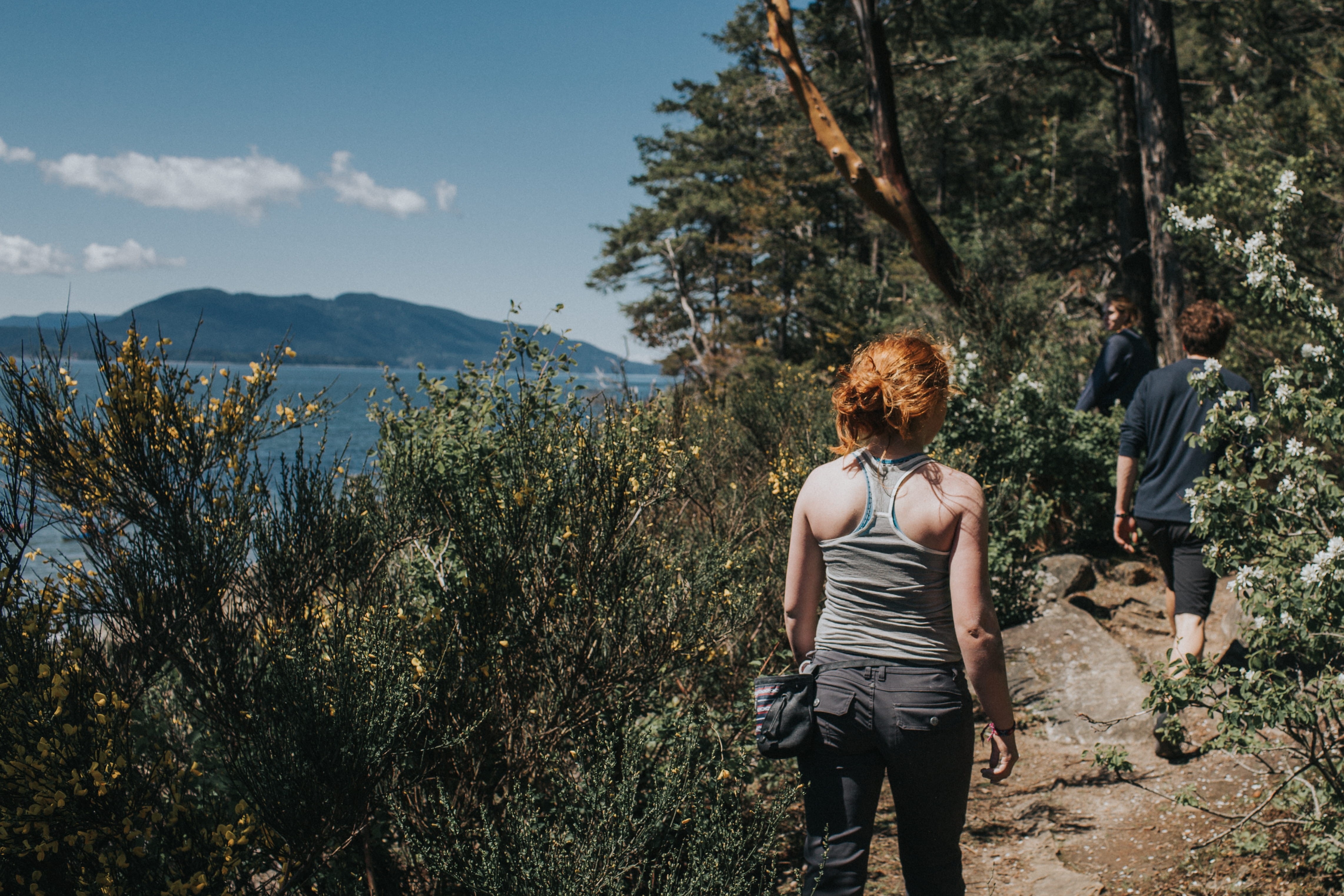 hike, casual clothing, coast, clayton beach, walk, path, adventure, growth, tranquility, struggle, climb, scenics - nature, bellingham, standing, forest, HD Wallpaper