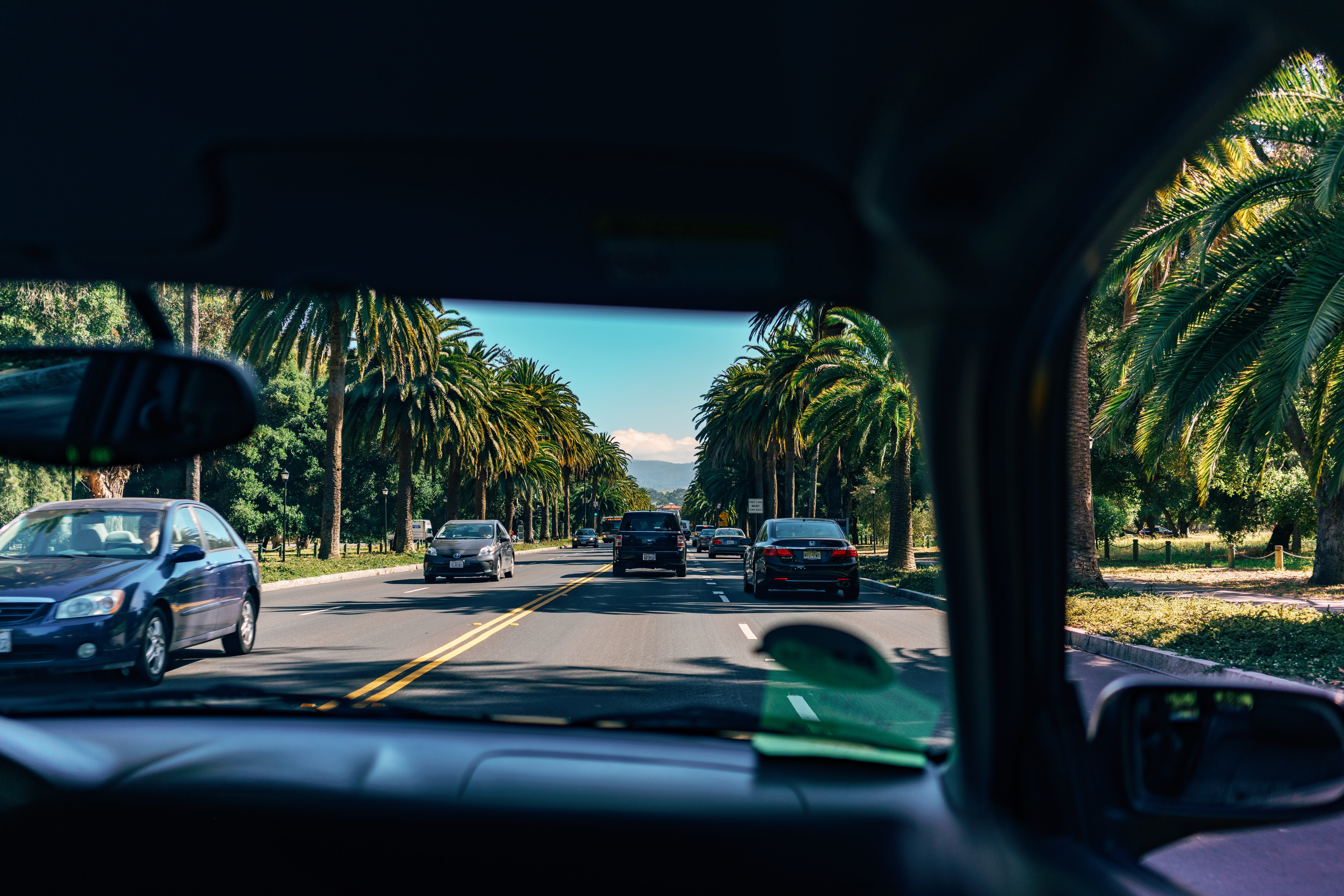 cars, street, palm trees, direction, sunny, united states, day, car, no people, palm tree, car interior, blue, stanford university, plant, tree, usa, glass - material, HD Wallpaper