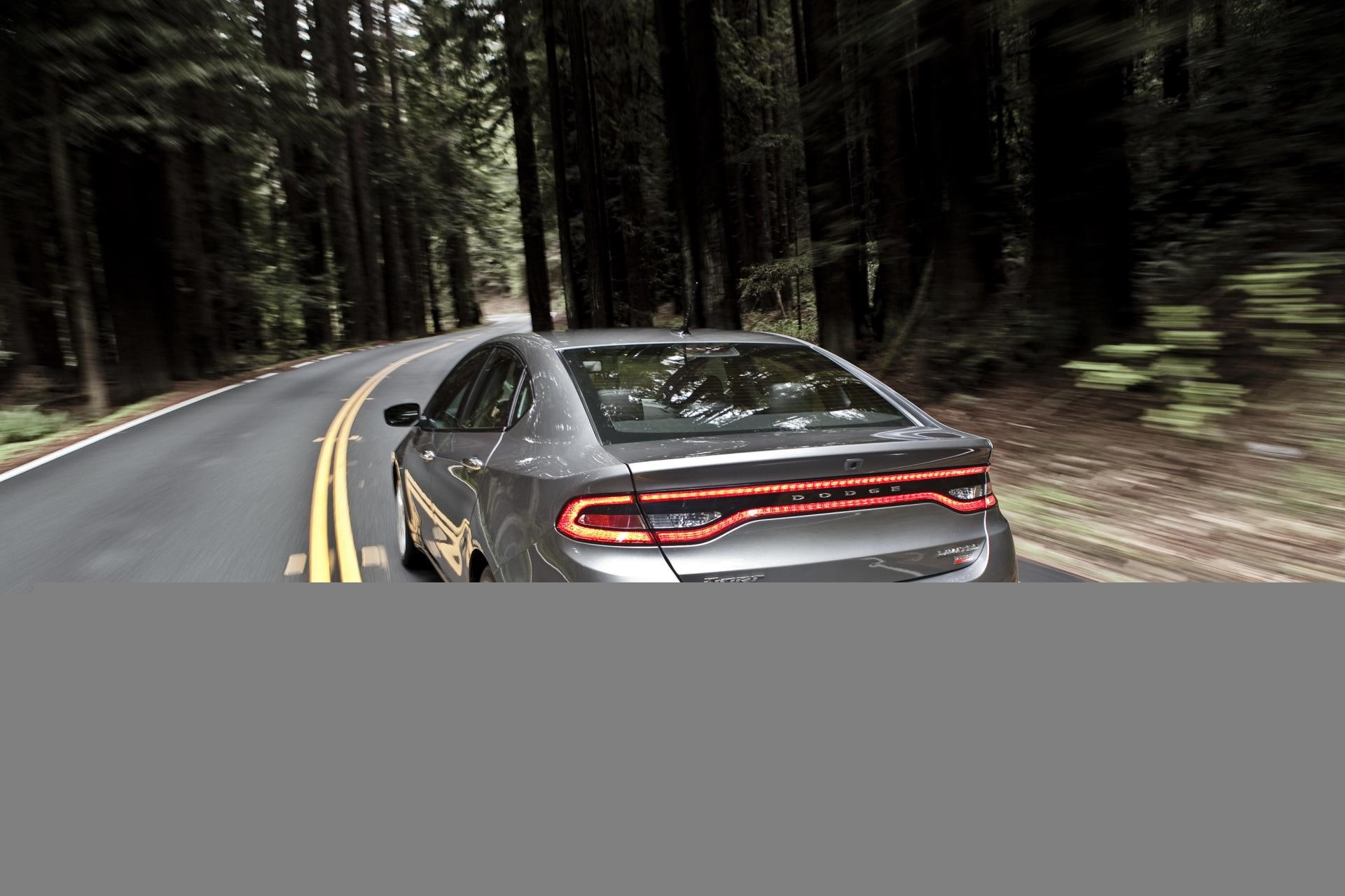 tree, car point of view, forest, speed, plant, travel, nature, mode of transportation, dodge, transportation, outdoors, gt, on the move, dart, road trip, HD Wallpaper