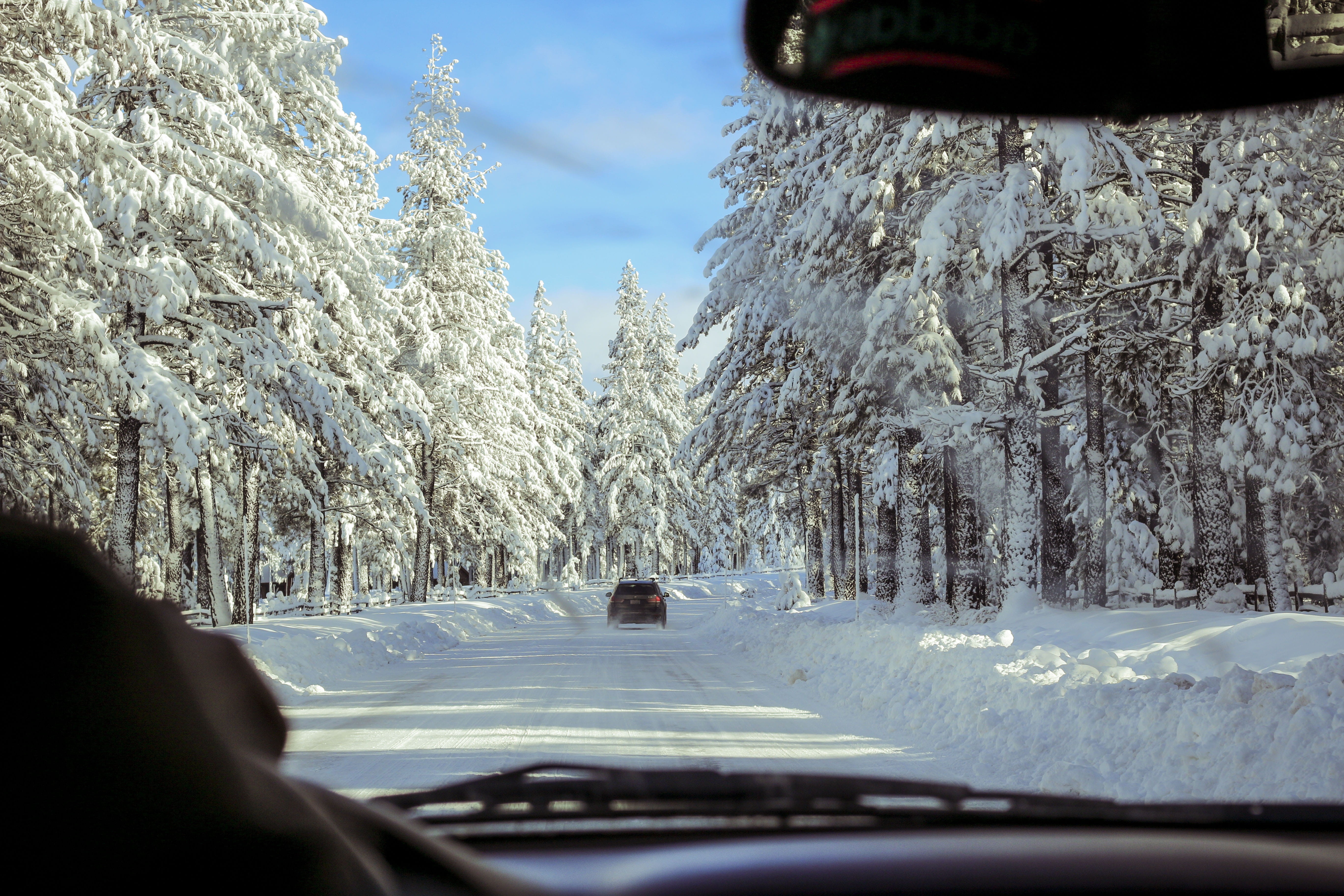 mountain, transparent, transportation, evergreen, car interior, glass - material, road, vehicle interior, nature, forest, daytime, outdoors, day, snowing, HD Wallpaper