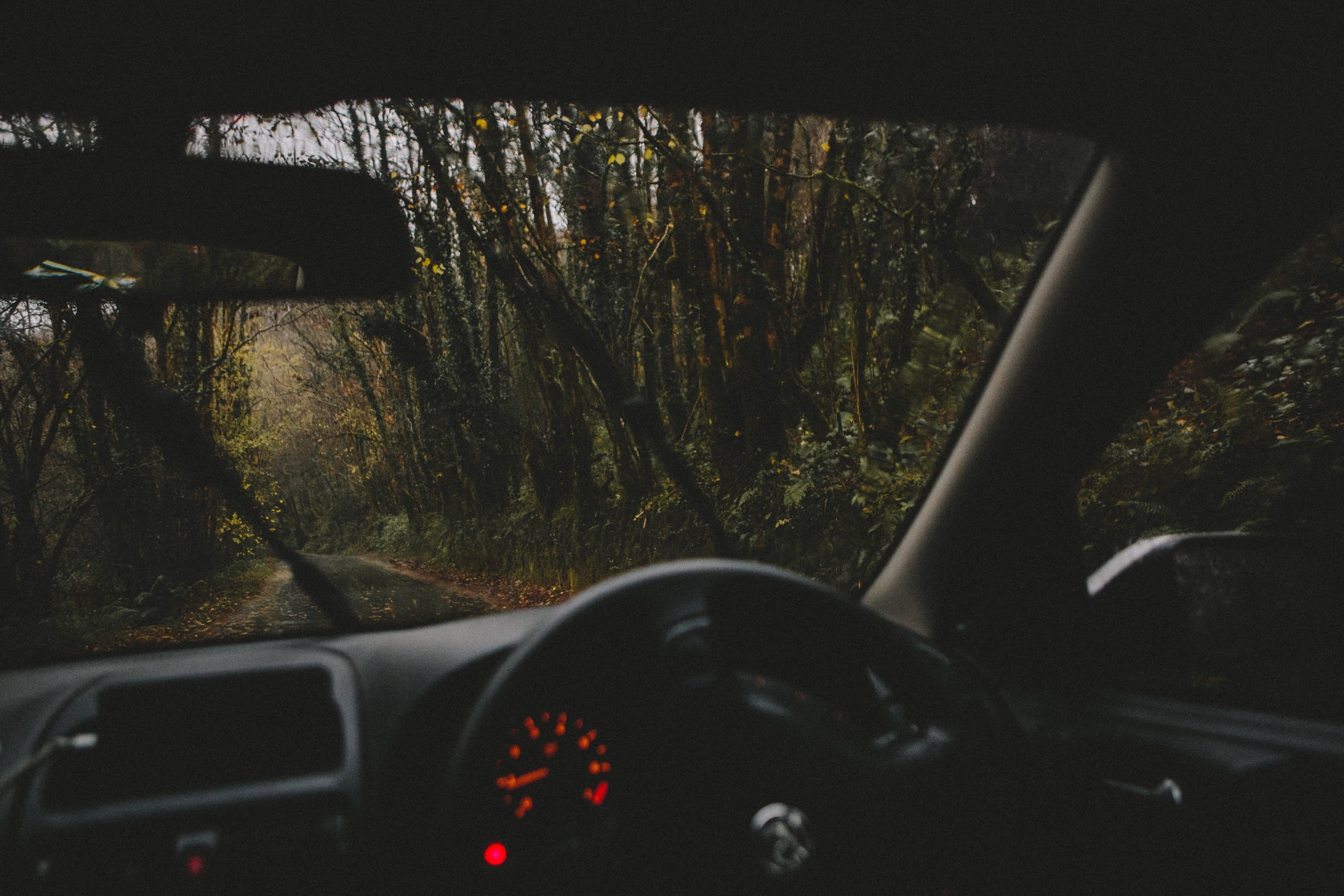 vehicle interior, steering wheel, no people, aircraft, motor vehicle, landscape, transportation, travel, day, blur, car, control panel, forest, dashboard, HD Wallpaper