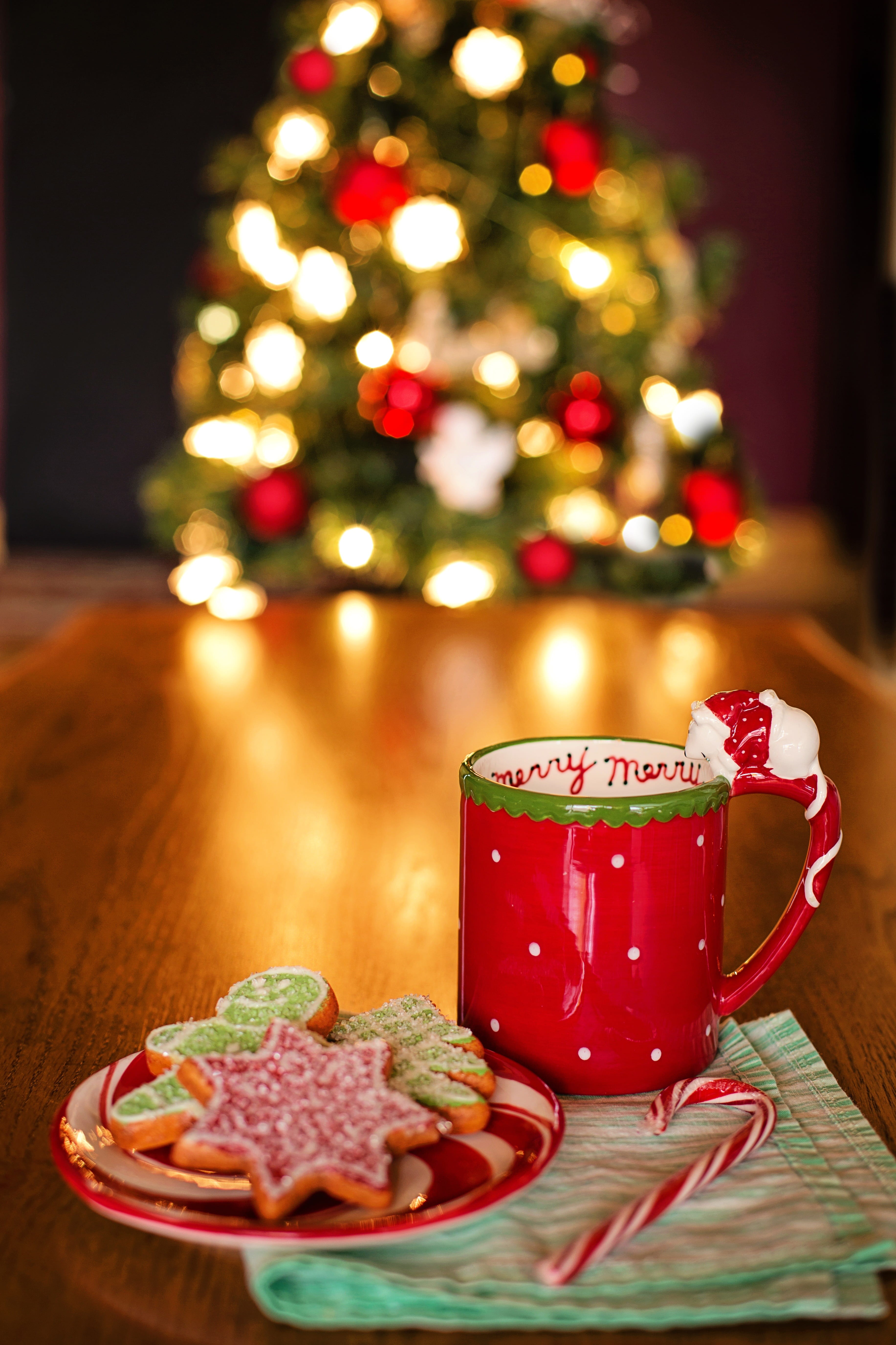 decoration, season, decorative, xmas, illuminated, indoors, baked, holiday - event, saucer, mug, warm and cozy, christmas, cookies, plant, christmas lights, Phone HD Wallpaper