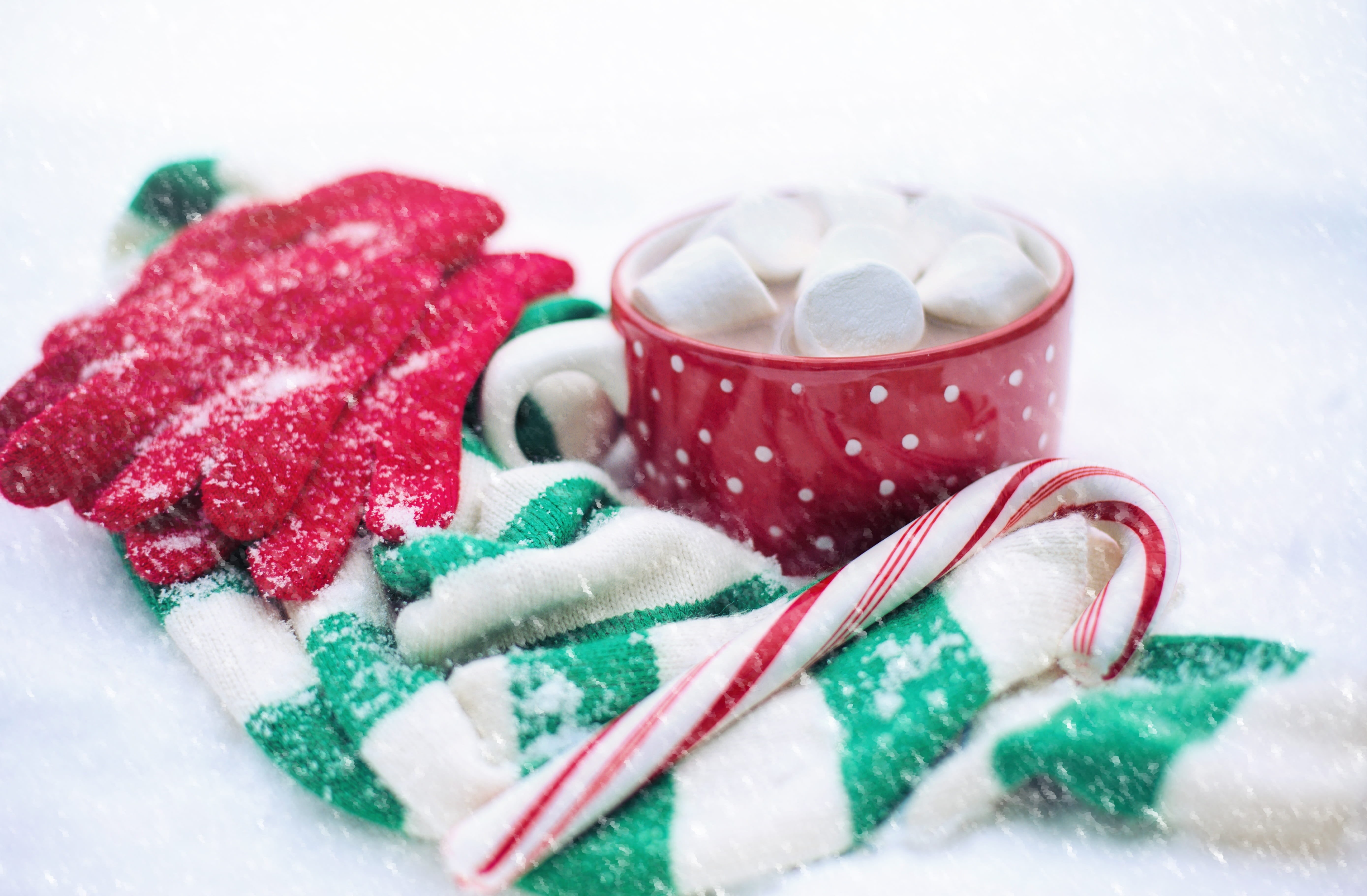 drink, celebration, kitchen utensil, winter, 5K, studio shot, indulgence, cup, warm, white, indoors, holiday, cozy, powdered sugar, candy, temptation, HD Wallpaper