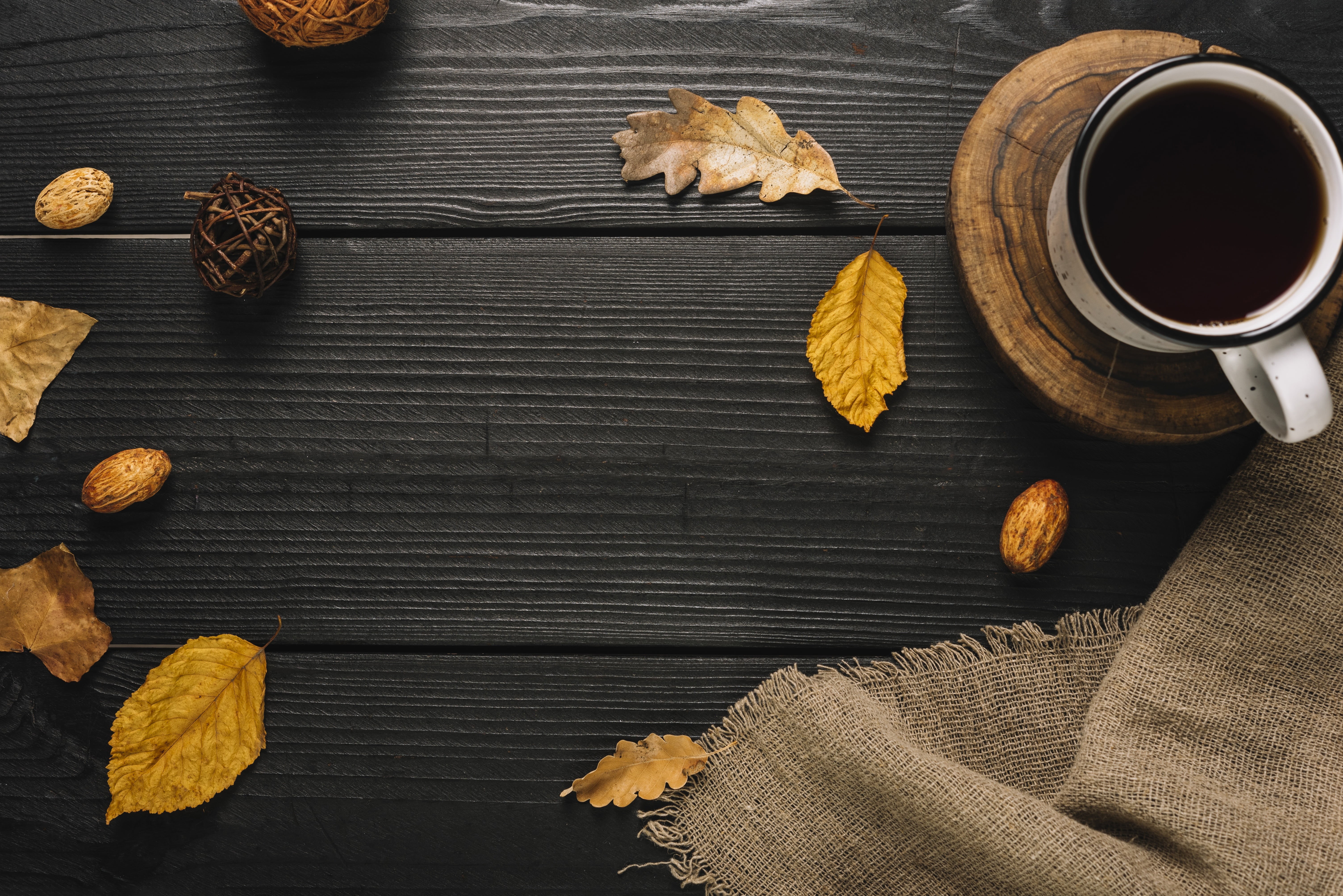 5K, leaves, Cup, wood, tree, autumn, mug, background, colorful, coffee, vintage, HD Wallpaper