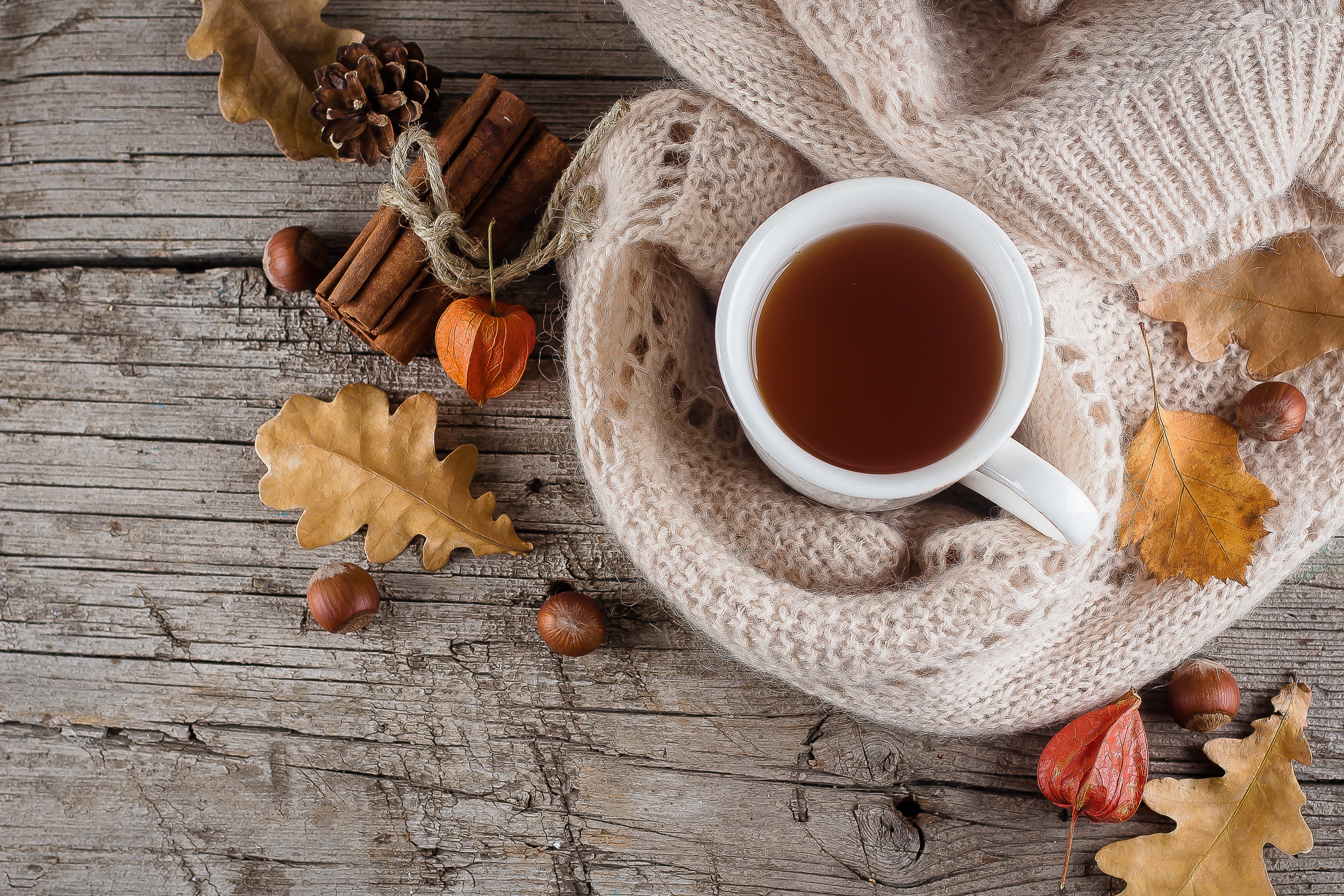 wood, colorful, background, Cup, 4K, leaves, tree, coffee, autumn, HD Wallpaper