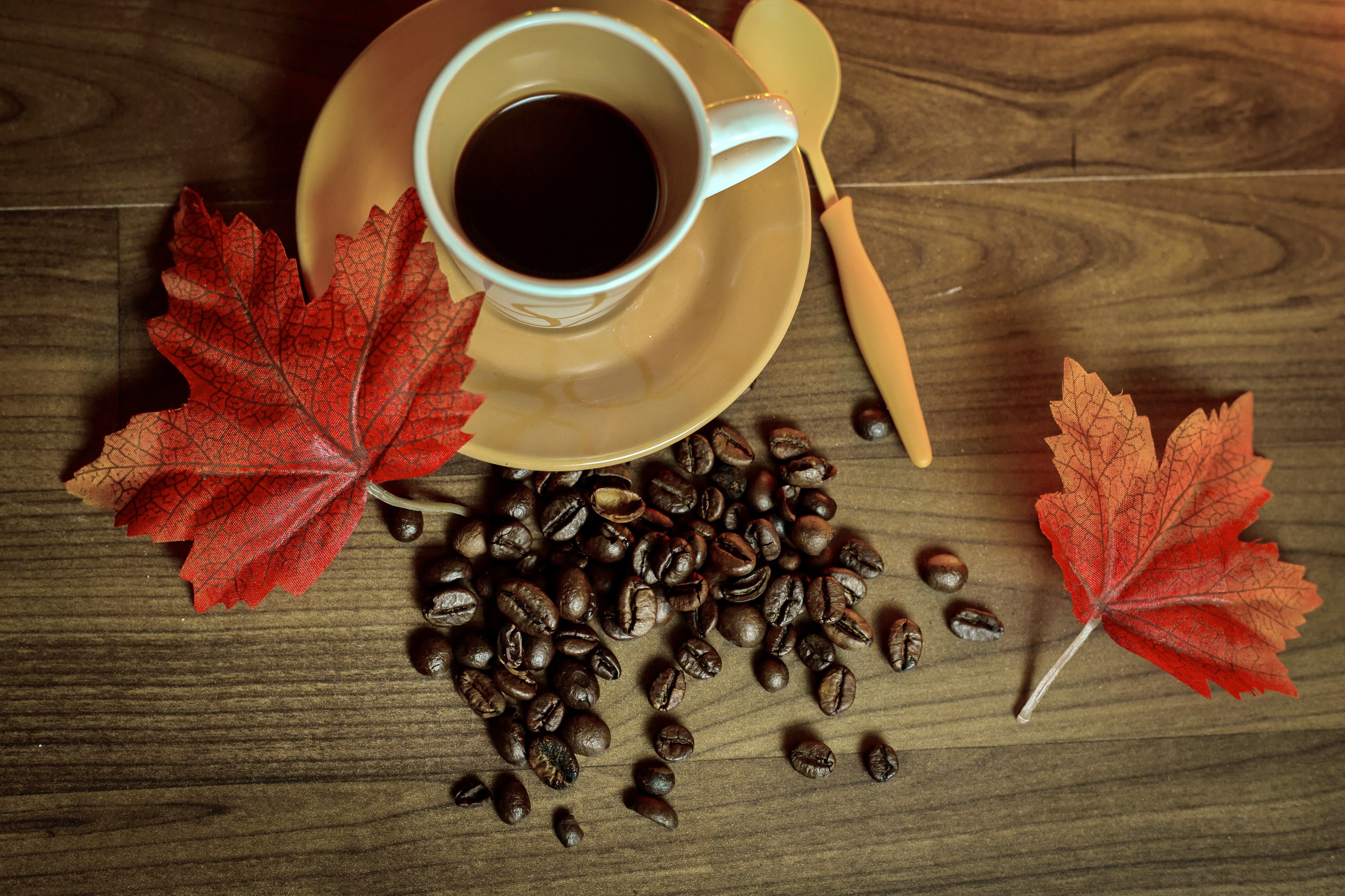 4K, autumn, leaves, book, coffee, Cup, beans, HD Wallpaper