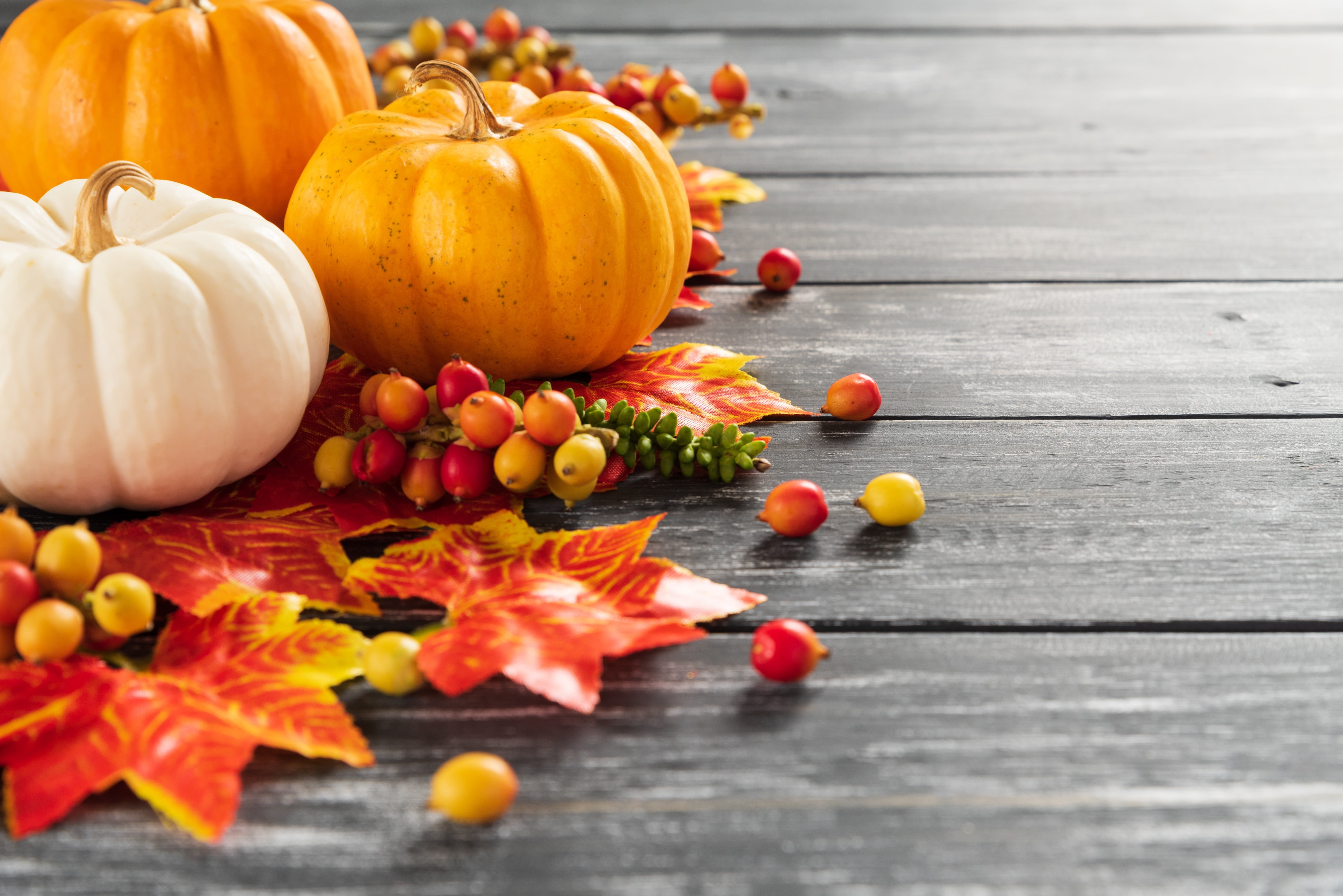 Board, colorful, autumn, pumpkin, background, maple, leaves, wood, 5K, HD Wallpaper