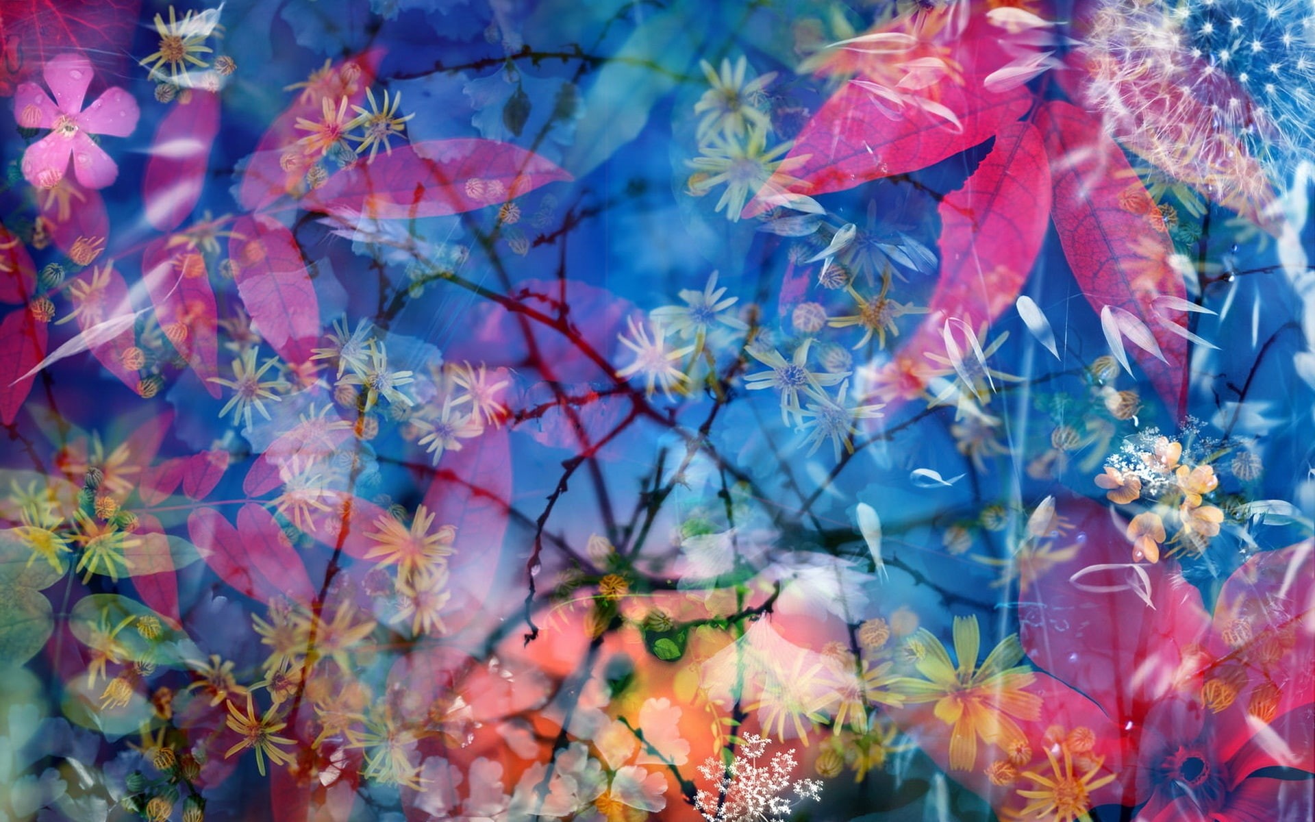 Background, Flowers, Beautiful, Scenery, Red, Leaves, 1080P, Blue, HD Wallpaper