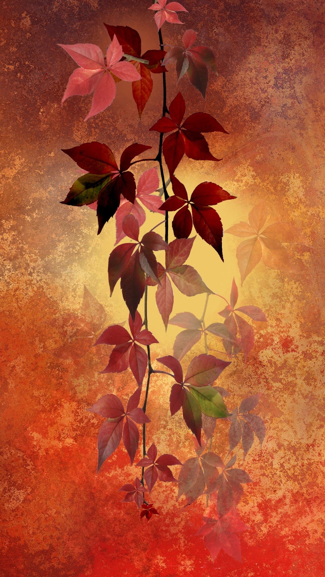 change, red, no people, day, light, nature, mood, foliage, colorful, sunlight, scenic, leaf, petal, fall foliage, fall leaves, maple leaf, landscape, october, Phone HD Wallpaper