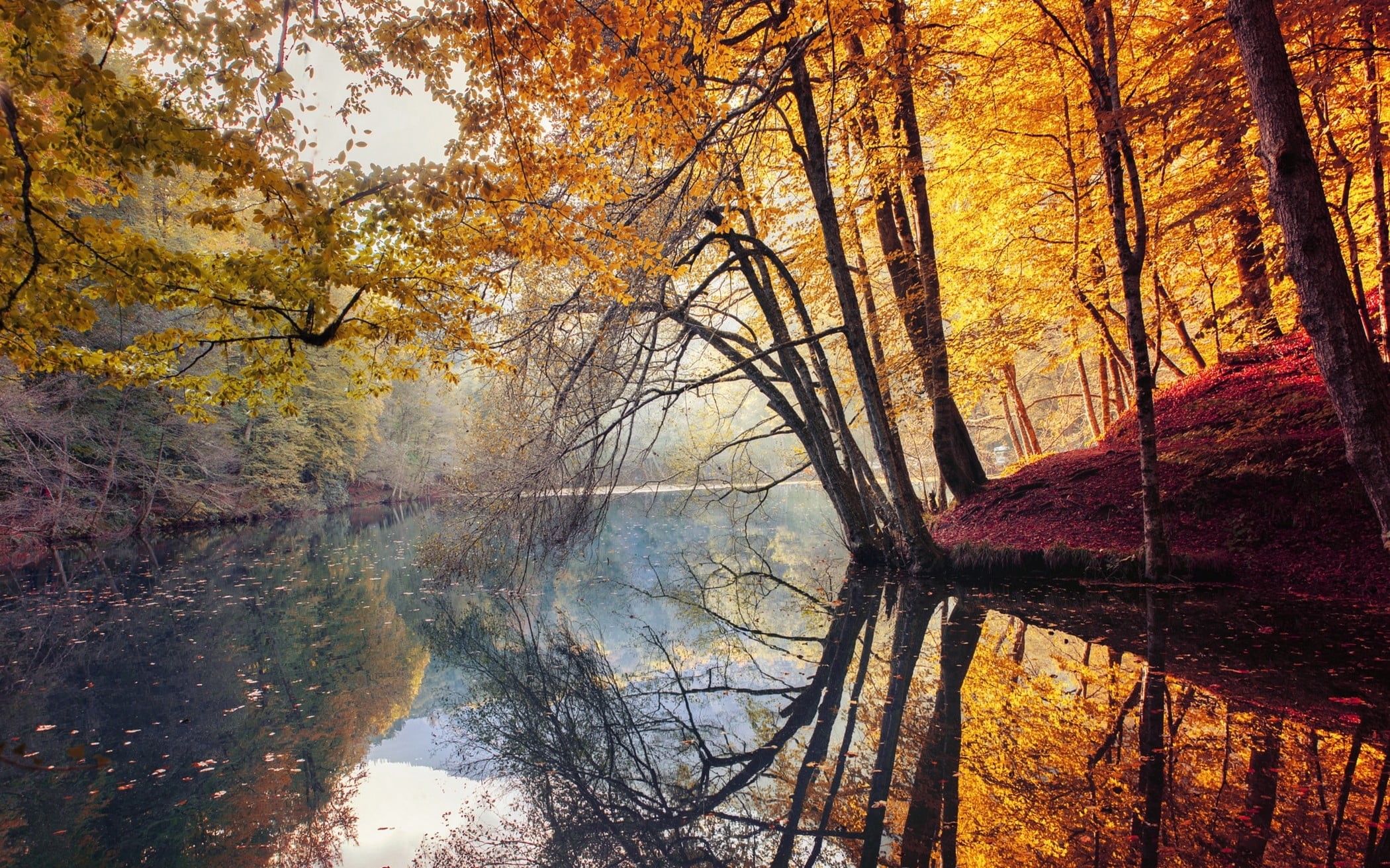 autumn collection, mist, idyllic, growth, sunlight, reflection, autumn, scenics - nature, 1080P, tranquil Scene, red, october, tree, landscape, color Image, HD Wallpaper