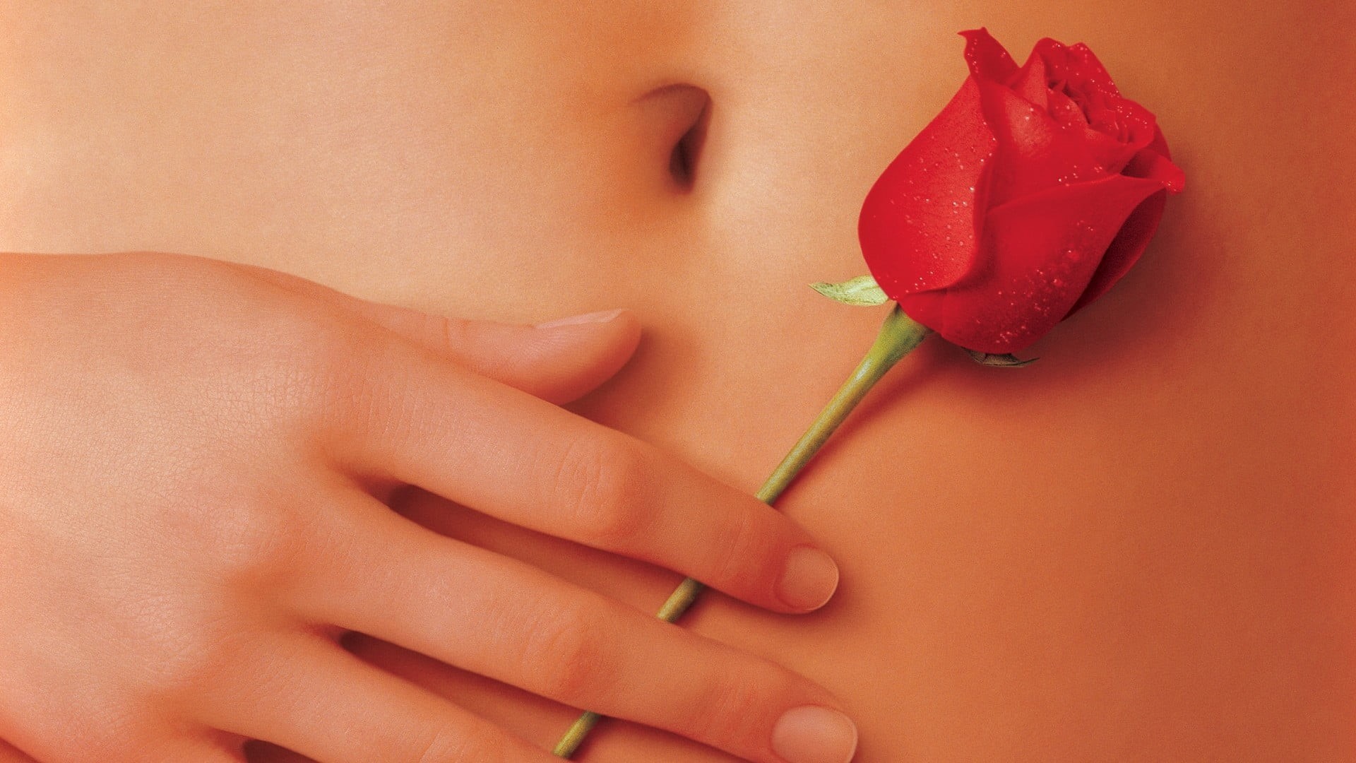 movies, hand, nail, 1080P, rose, wellbeing, human lips, red, flower, finger, American Beauty, red flowers, human body part, food and drink, body part, HD Wallpaper