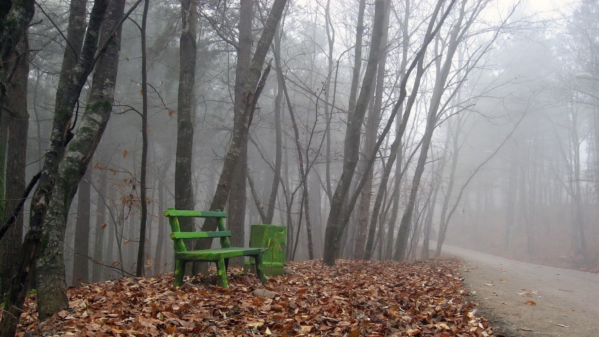 loneliness, bench, october, tranquil Scene, wooden, no People, light - Natural Phenomenon, change, nature, footpath, land, autumn, backgrounds, fall, rural Scene, HD Wallpaper