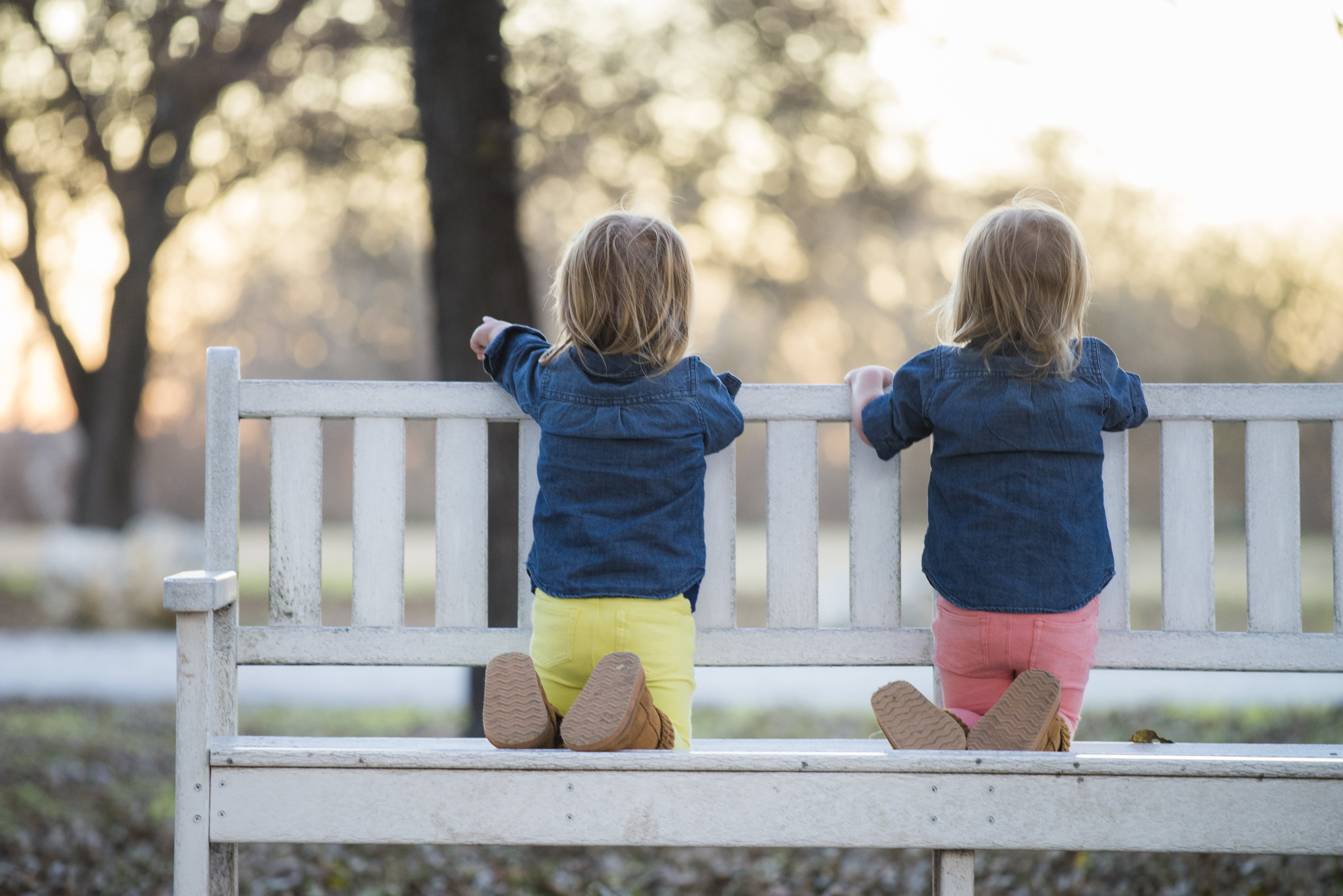 white, 5K, park - Man Made Space, playing, toddler, Reese, twins, park, bench, small, people, cute, two, childhood, fun, family, lifestyles, sisters, caucasian Ethnicity, HD Wallpaper