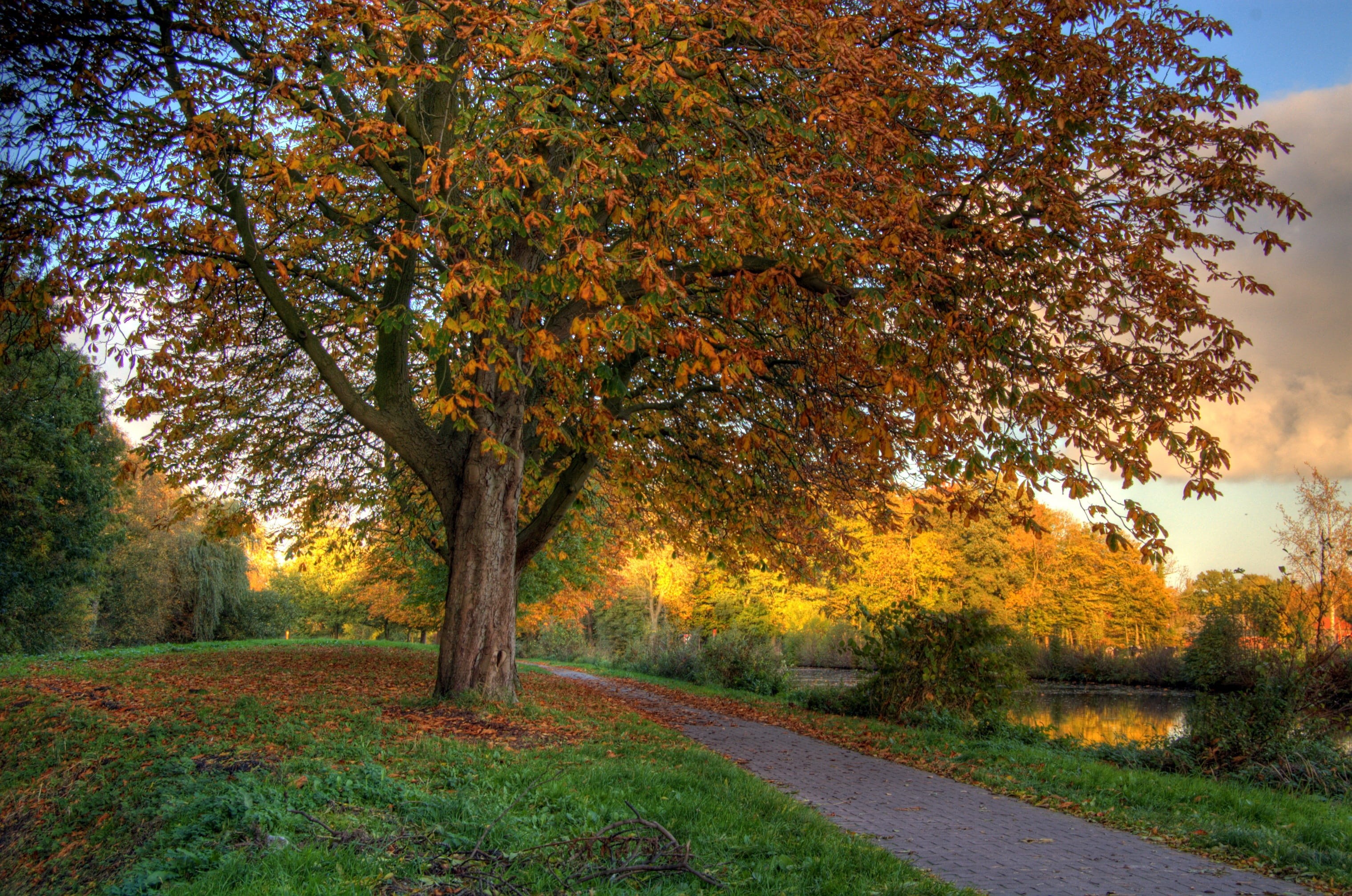 color Image, sunlight, very slight hdr, october, park - Man Made Space, scenics - nature, Away, gold Colored, nature, orange Color, hiking, landscape, red, HD Wallpaper