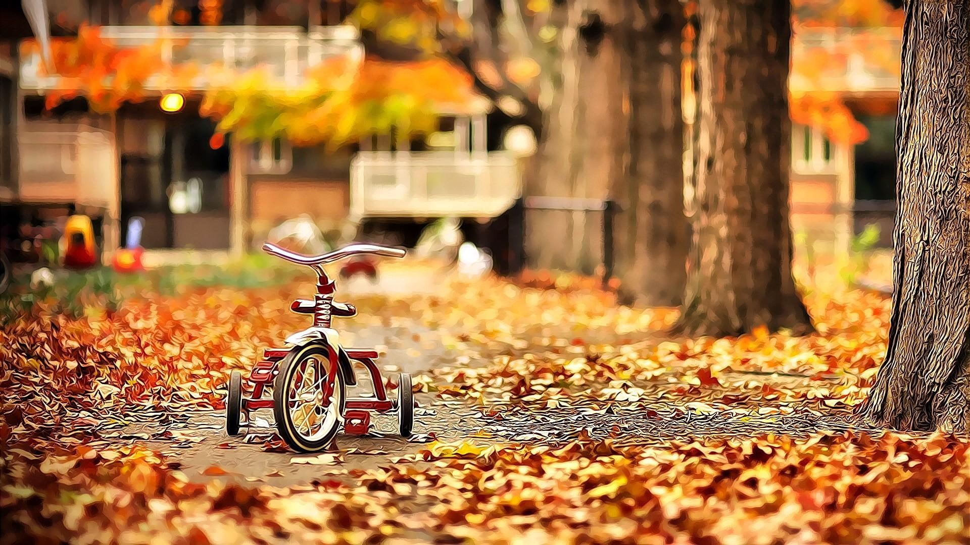 garden, 3d and abstract, autumn, 1080P, bike, fallen leaves, october, HD Wallpaper