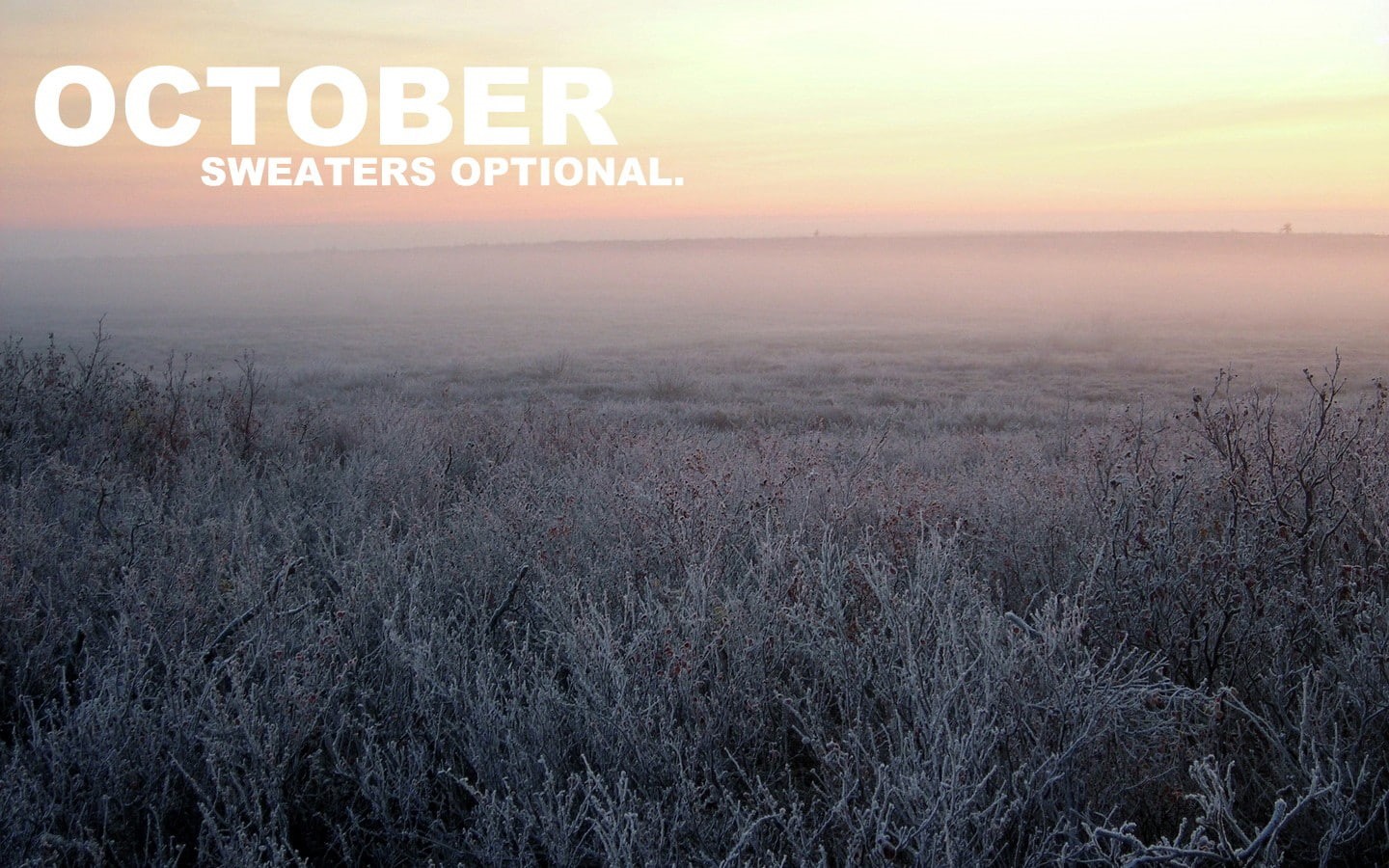 month, october, 720P, HD Wallpaper